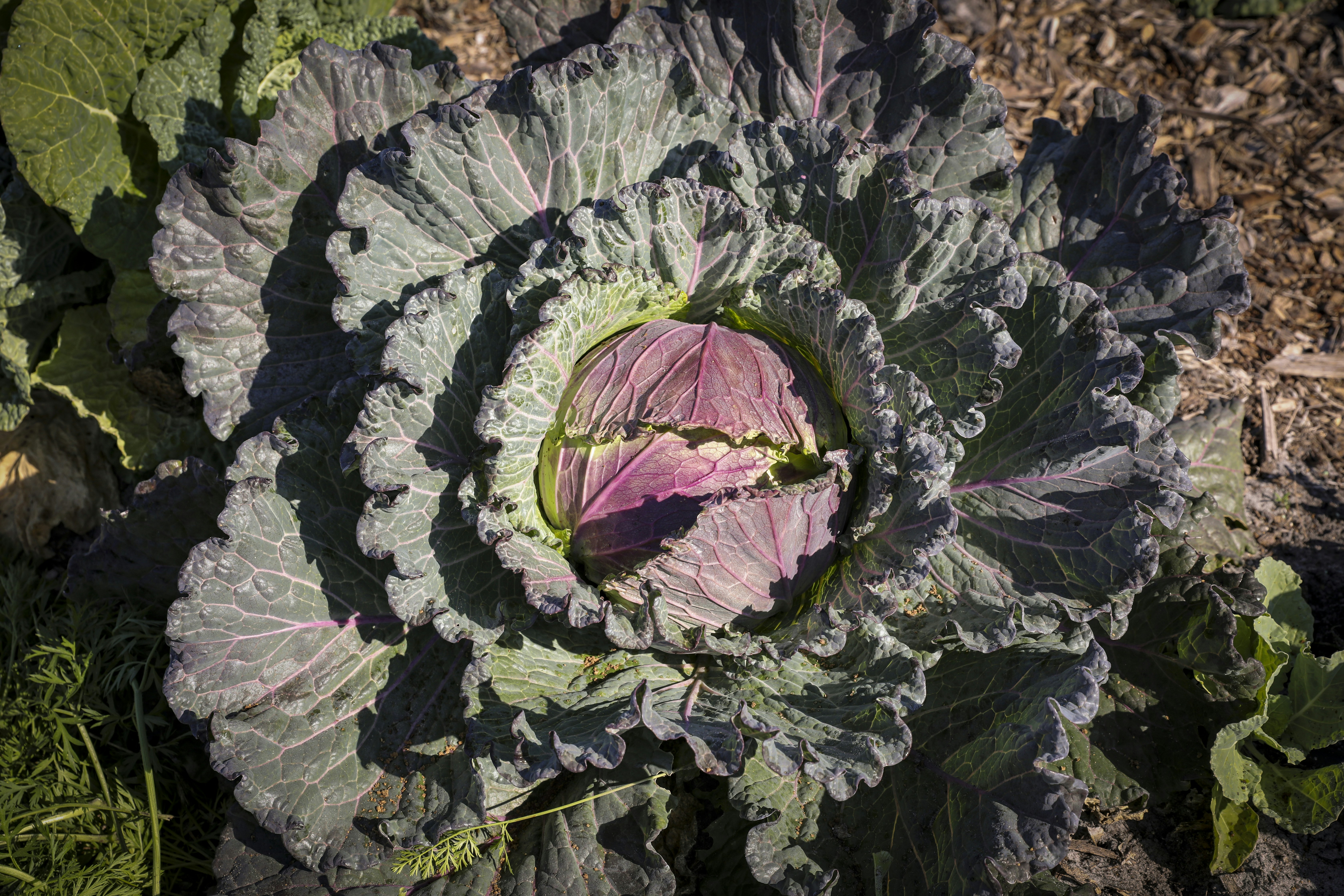 Photo by rocinante_11