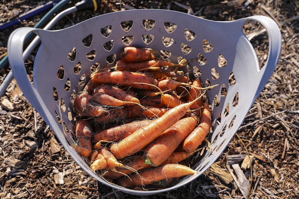 a basket full of carrots sitting on the ground