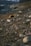 A rugged off-road vehicle navigating a challenging trail in a breathtaking mountainous landscape.