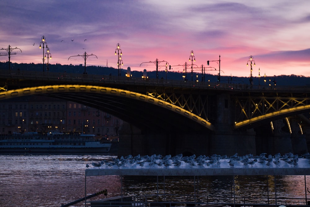 Un ponte che ha un mucchio di luci su di esso