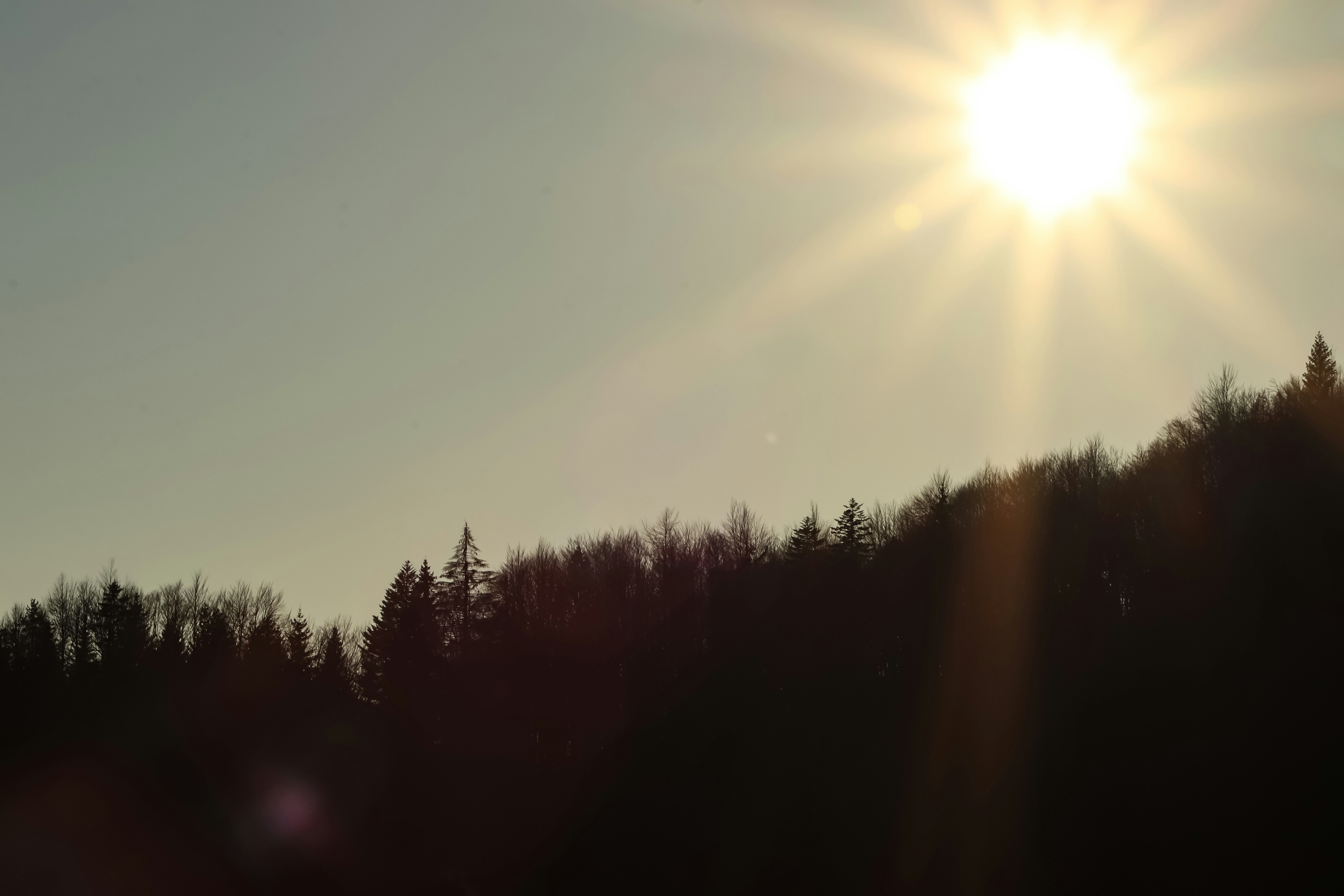 Photo by riccardofarinazzo