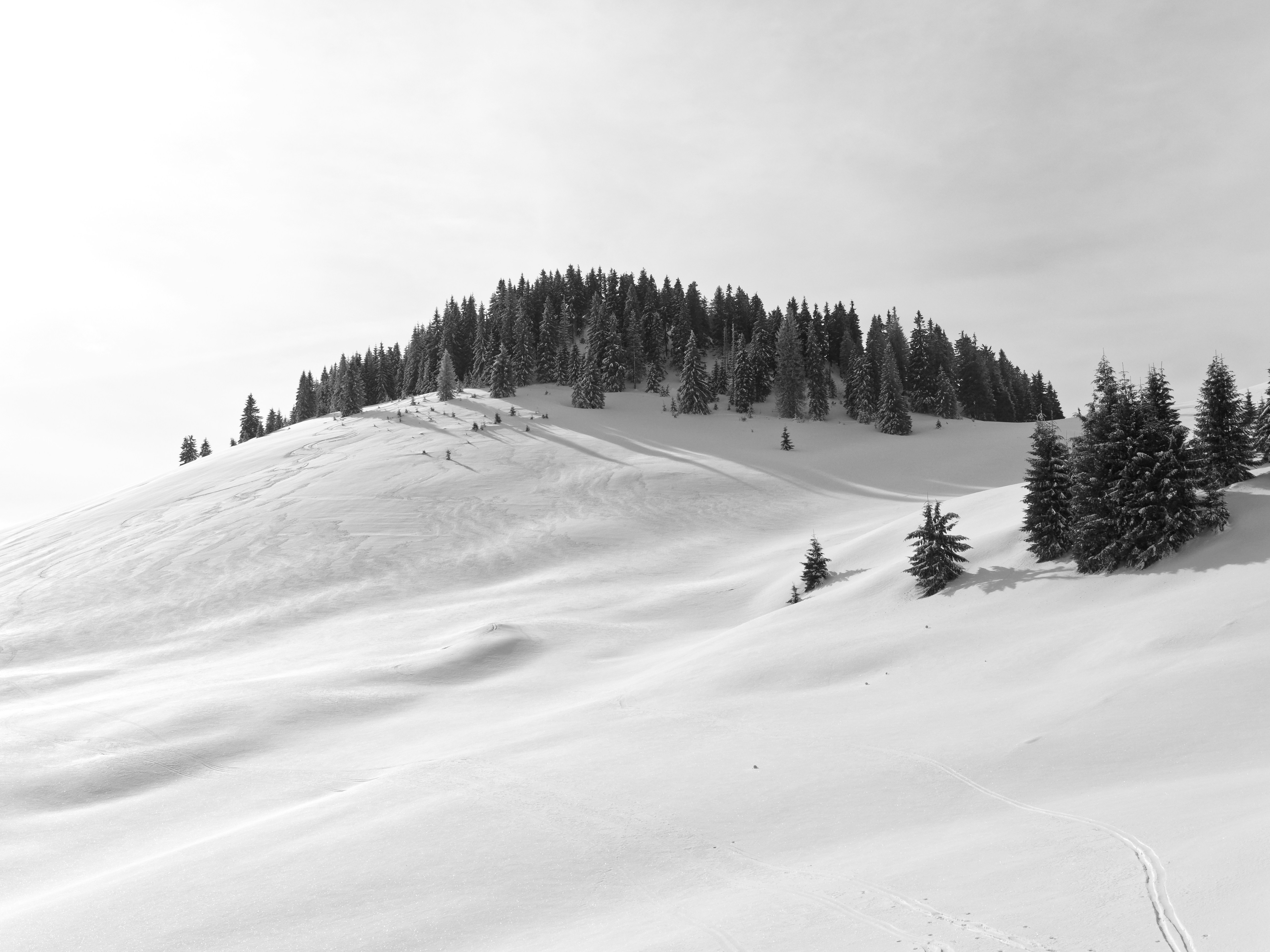 Photo by illes_cristi