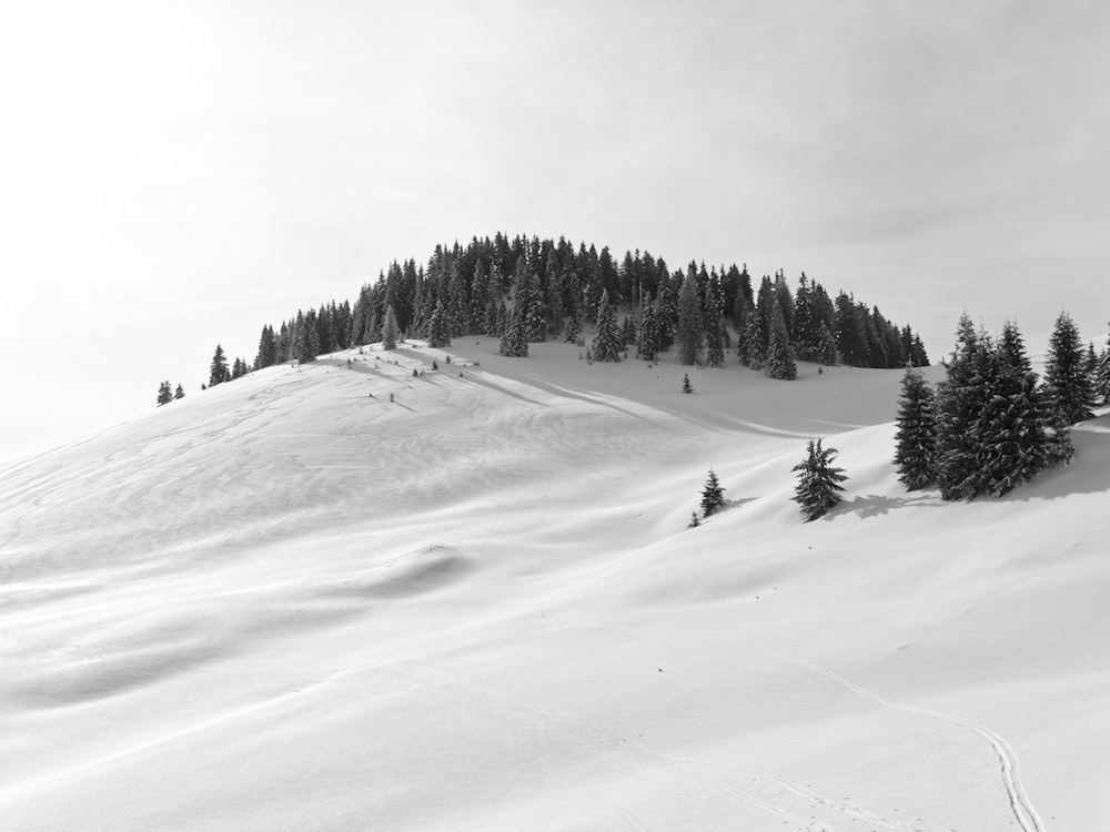 a snow covered mountain with trees on top of it