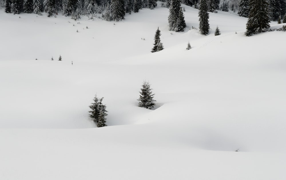 a person riding skis down a snow covered slope