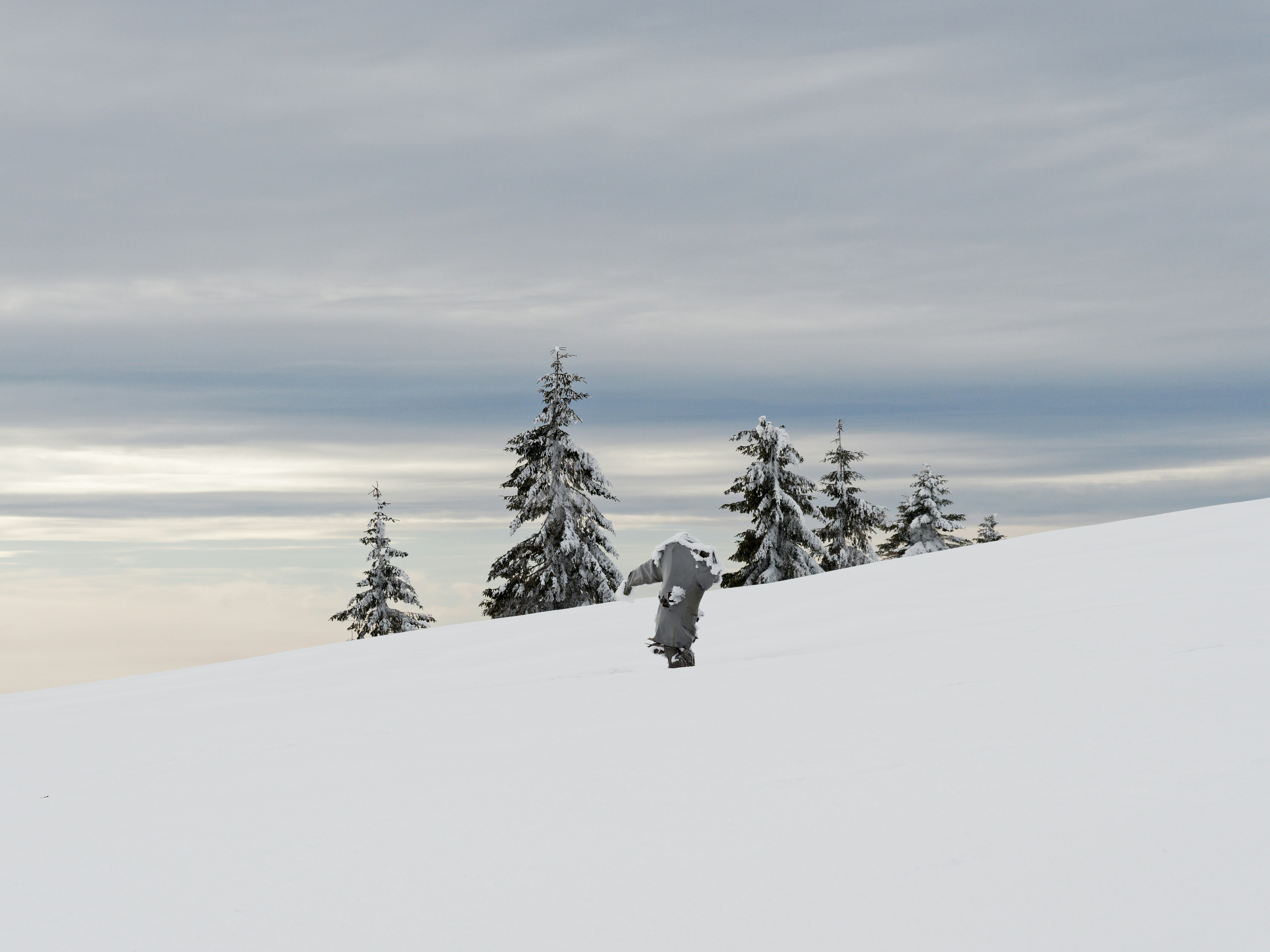 Photo by illes_cristi