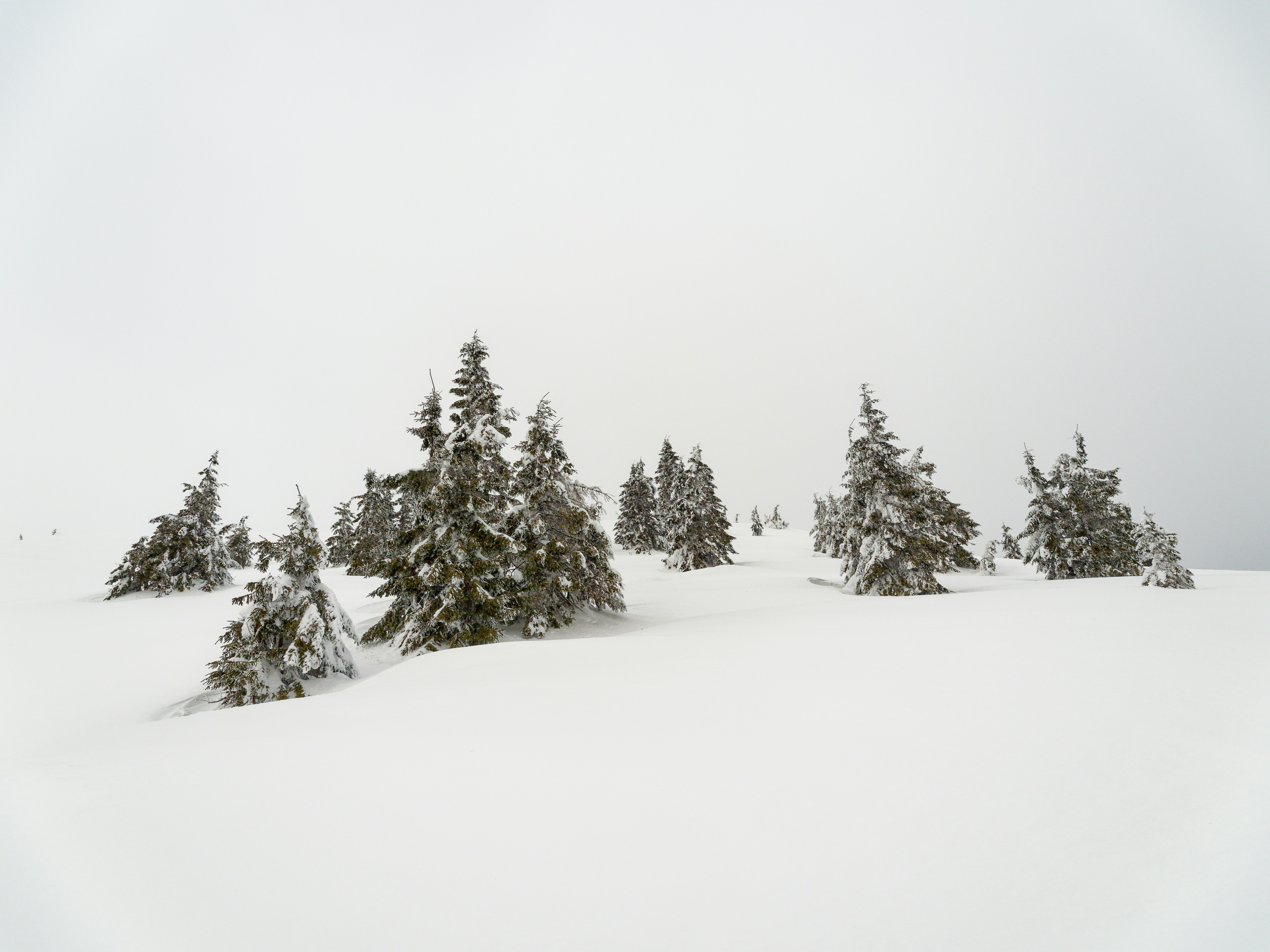 Photo by illes_cristi