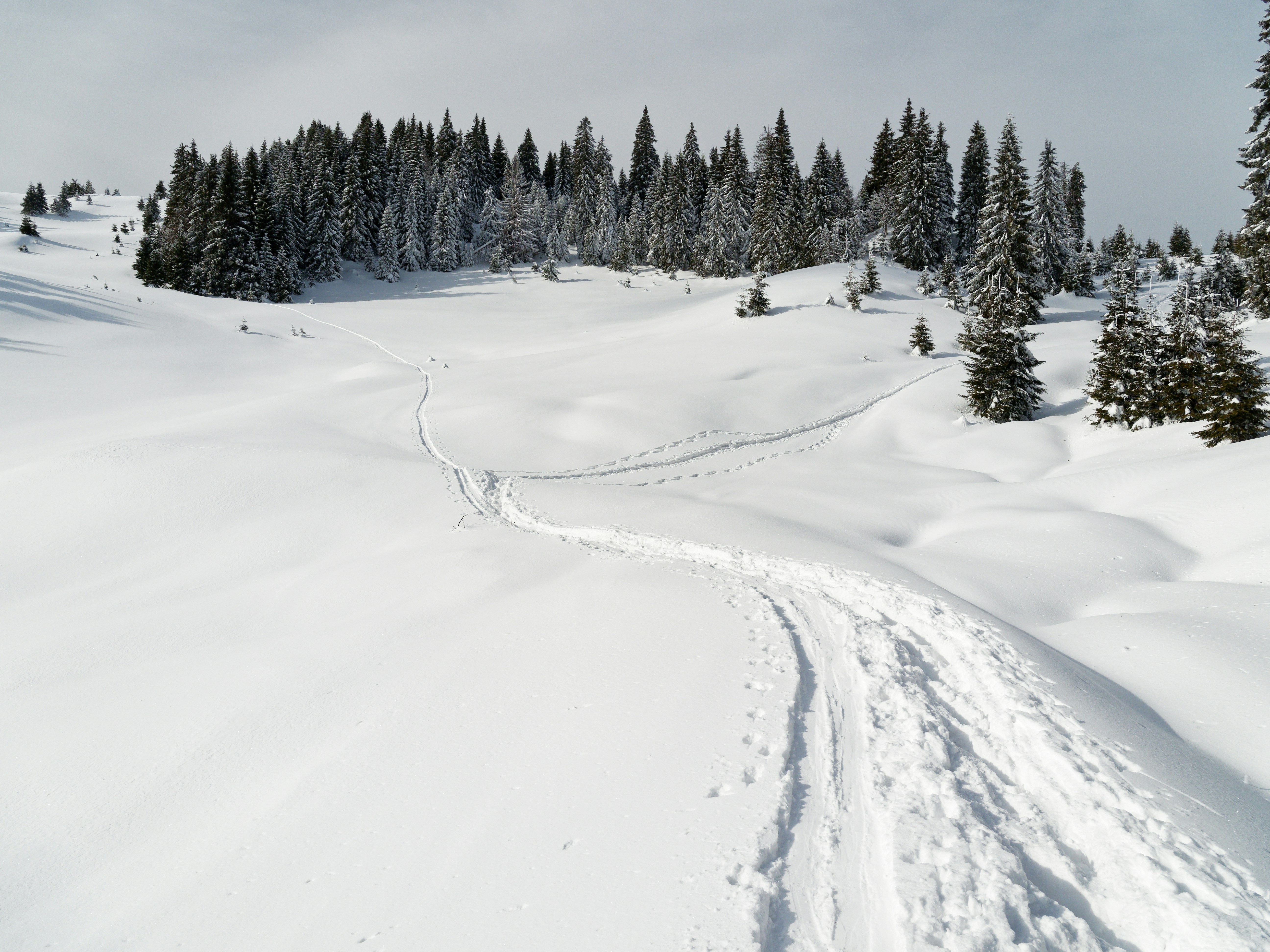 Photo by illes_cristi