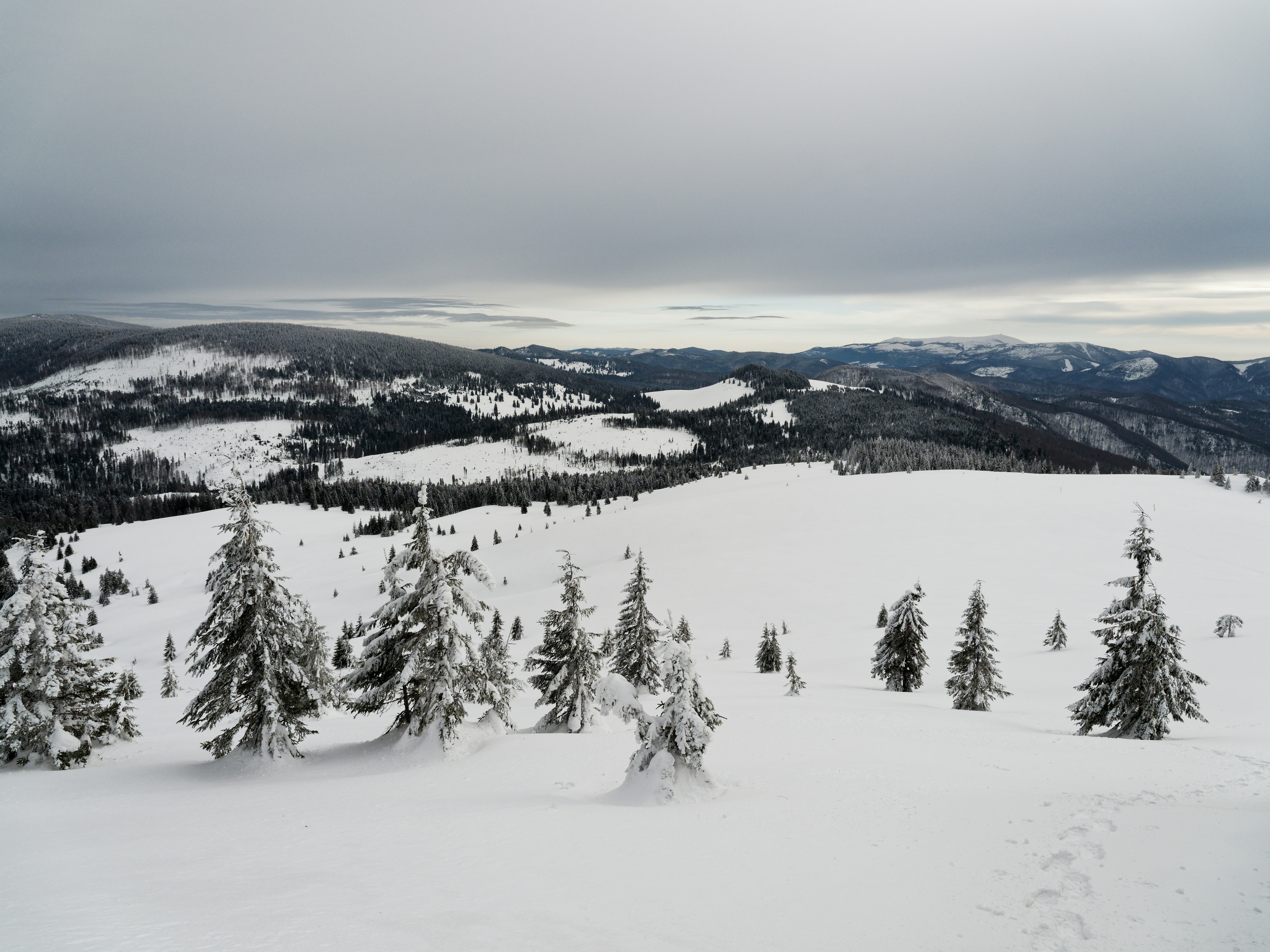 Photo by illes_cristi