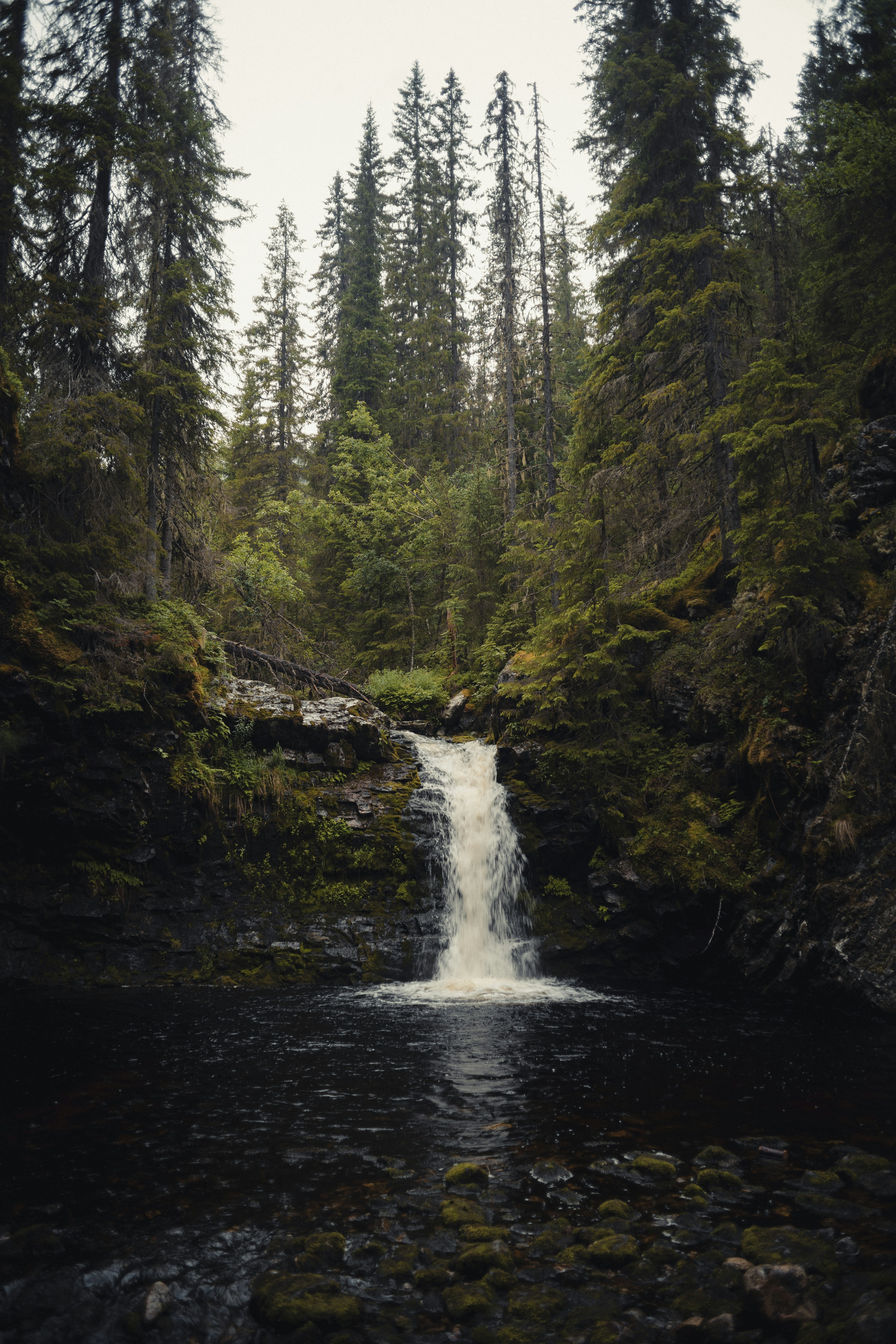 Photo by fredrikposse