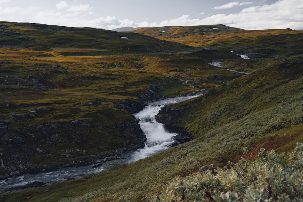 a stream running through a lush green hillside