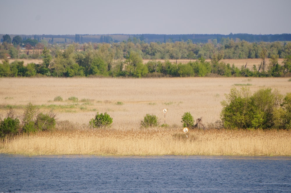 a grassy field with a body of water in the foreground