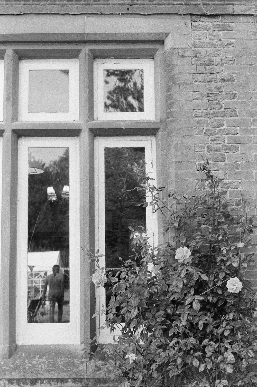 a black and white photo of a person looking out a window