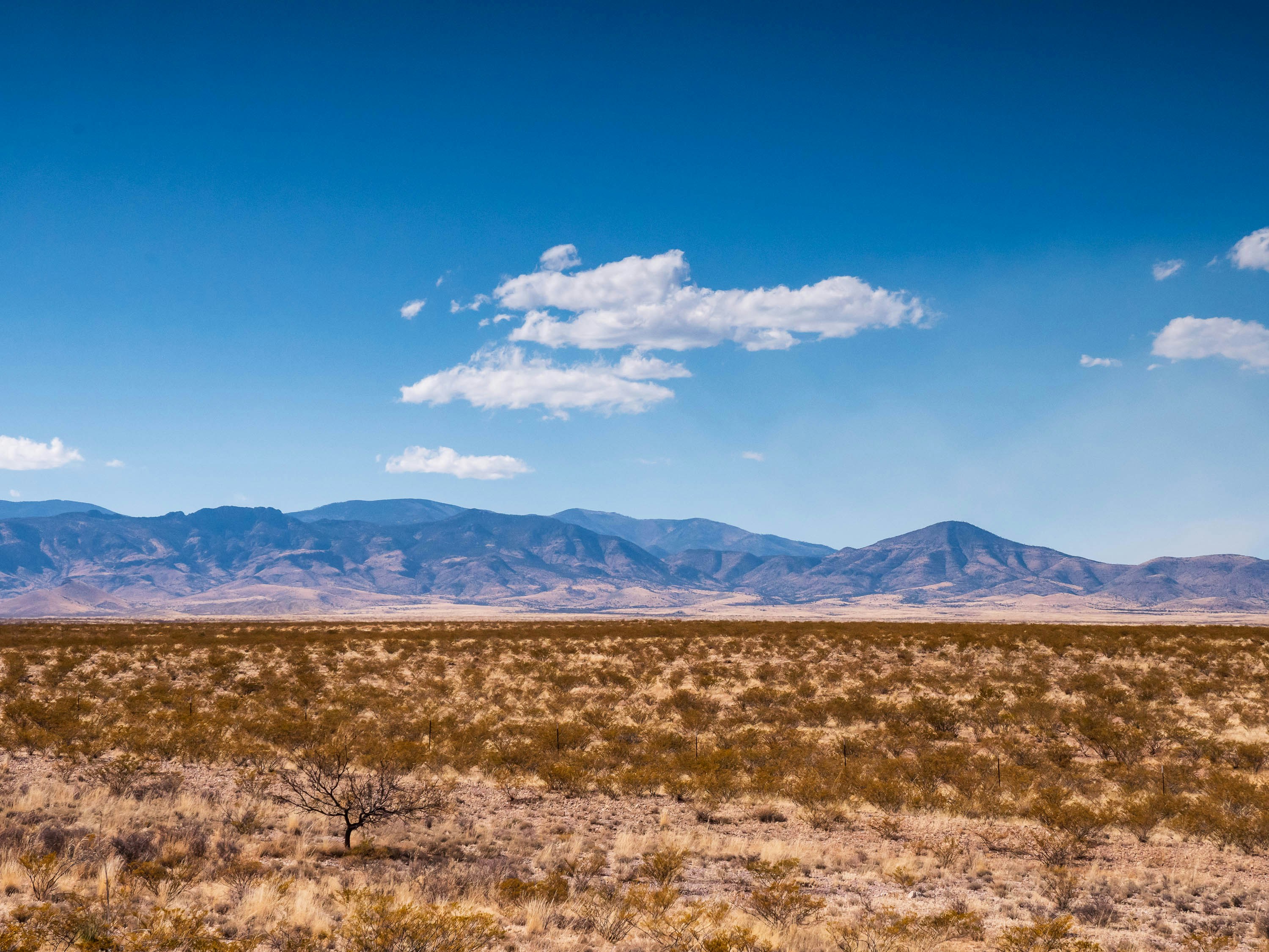 a large open field with mountains in the background, San Mateo Mountains in Central New Mexico.