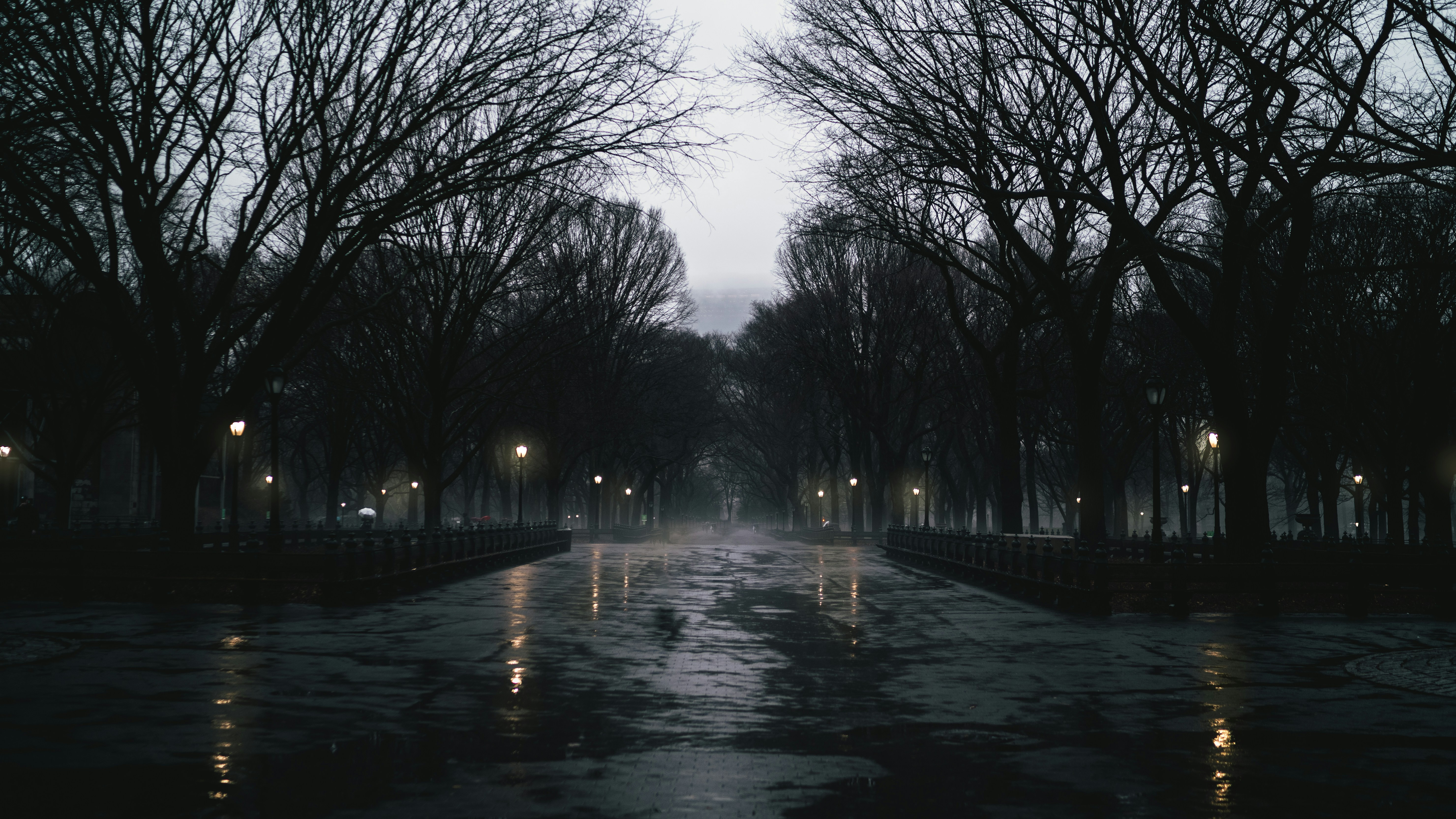 Central Park just after sunset when the lanterns come on. 