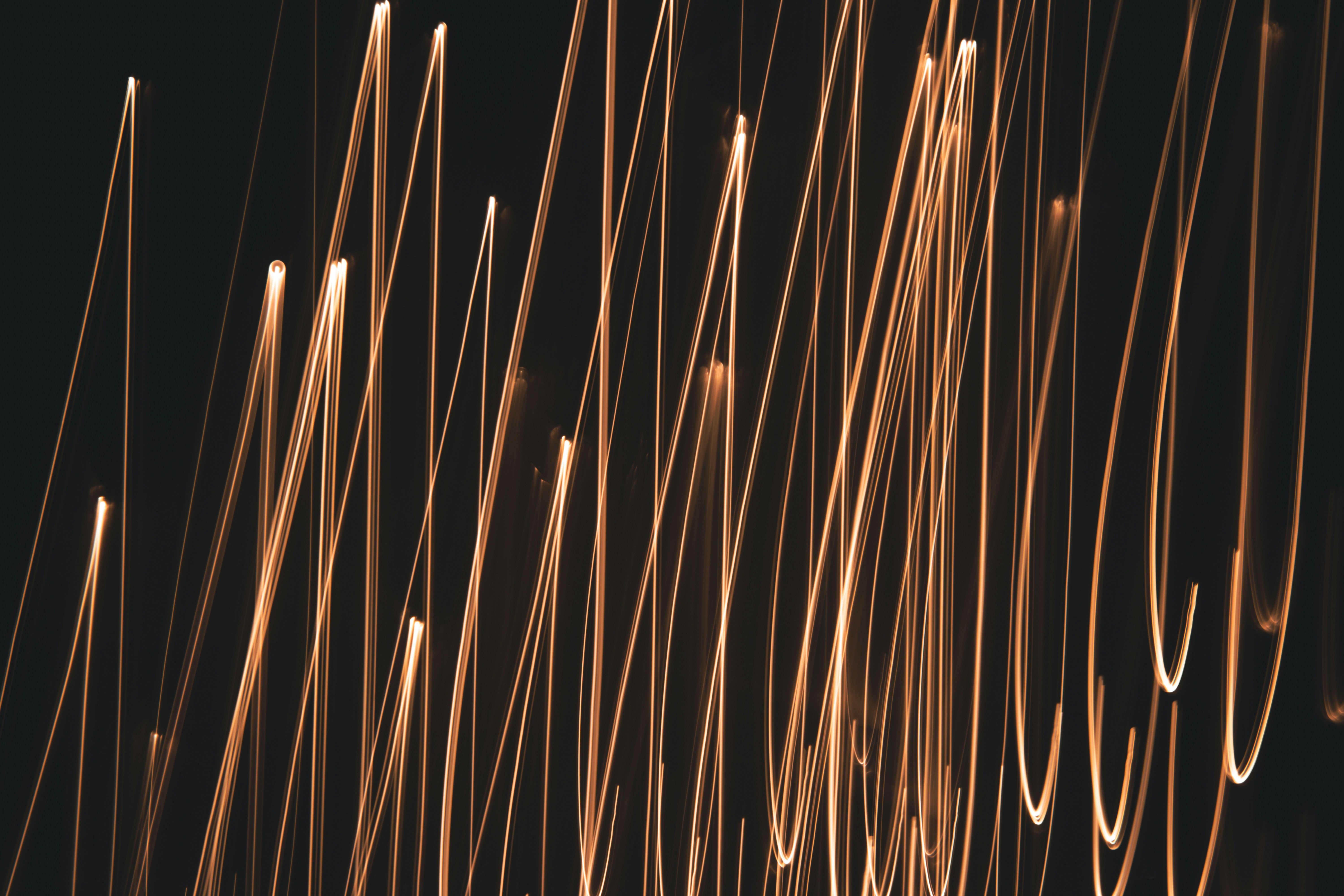 Photo by elliottmason