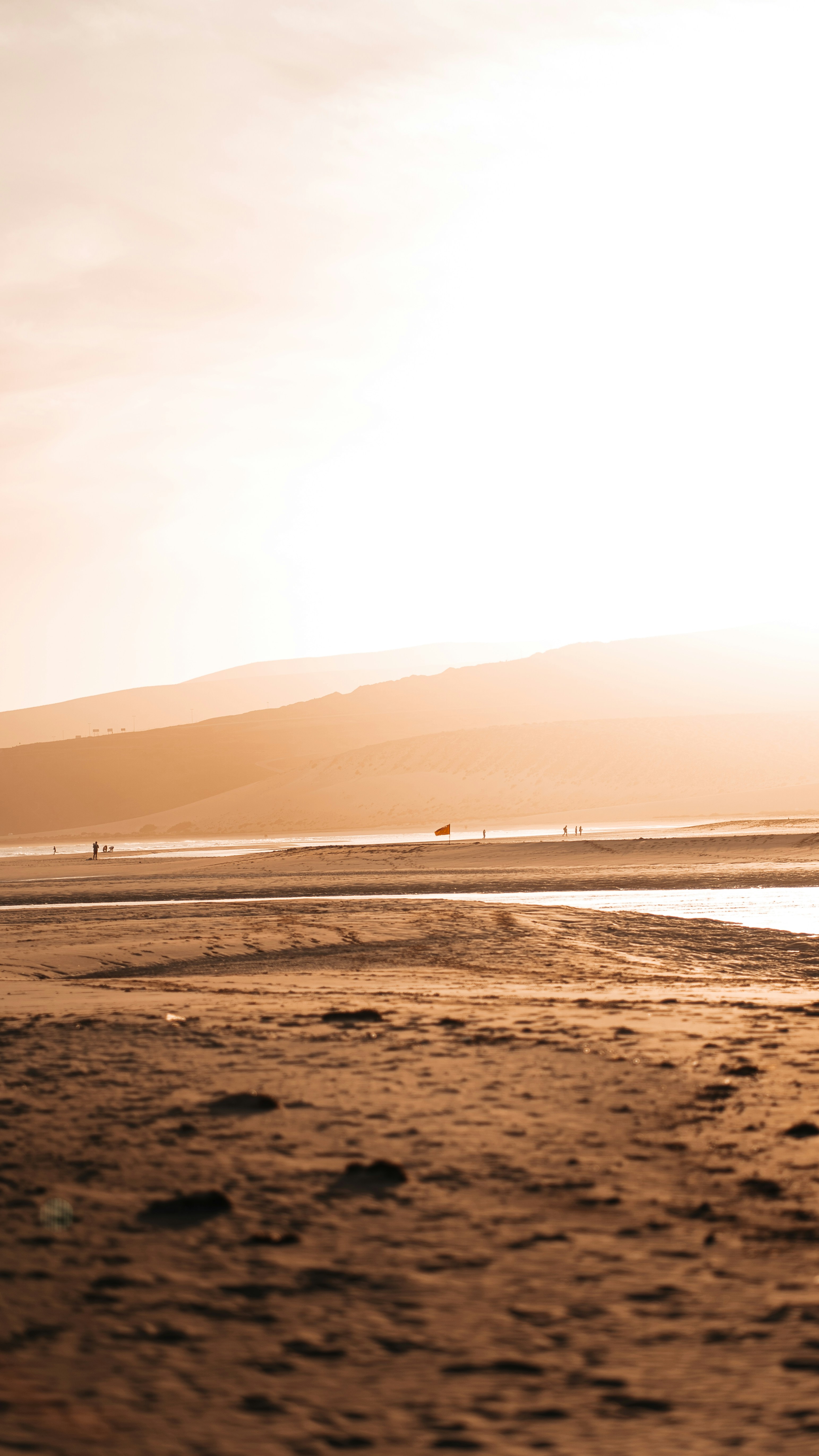 Photo by dariomuellerf