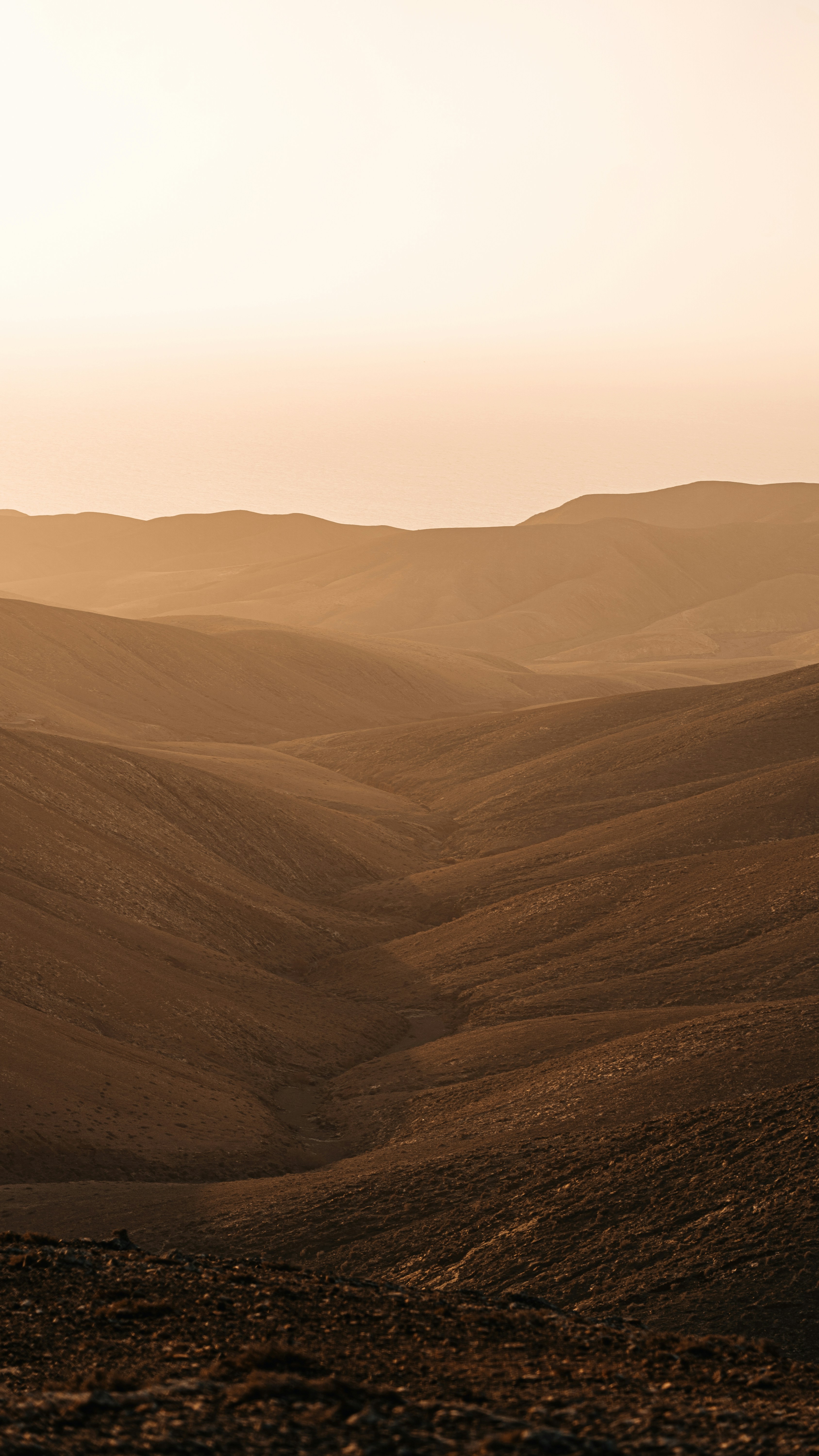 Photo by dariomuellerf