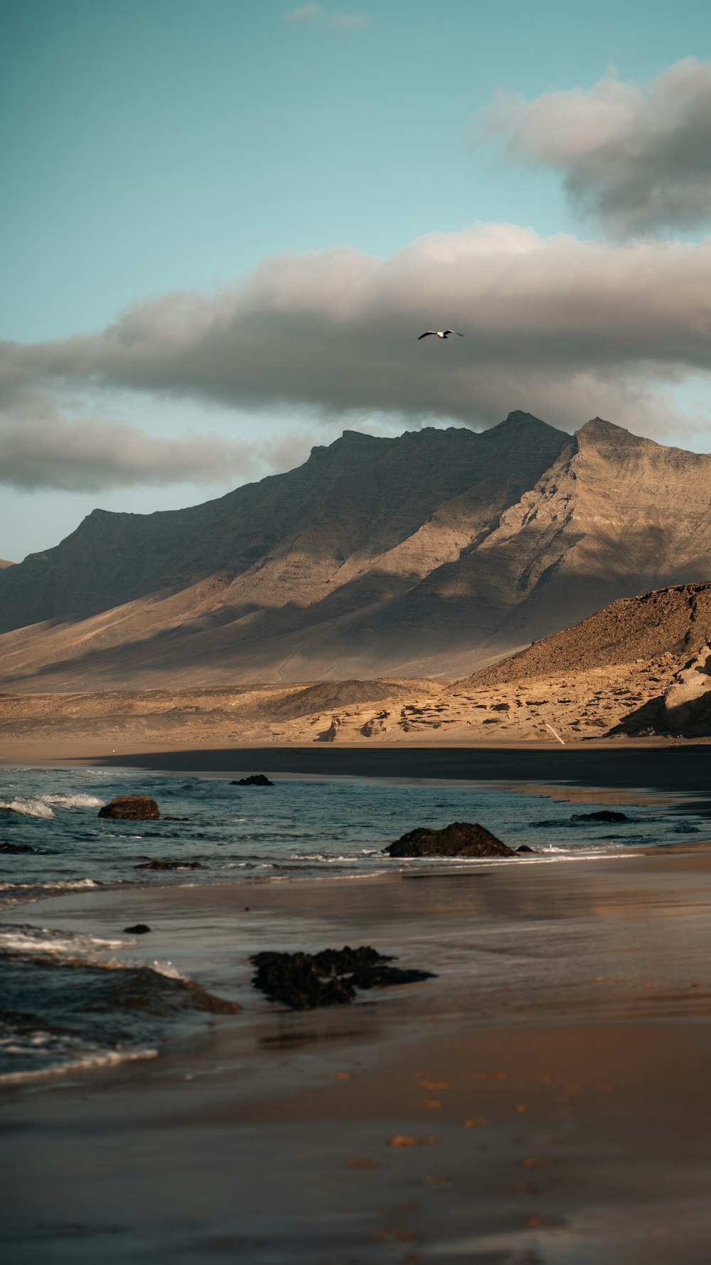 a bird flying over a beach with mountains in the background