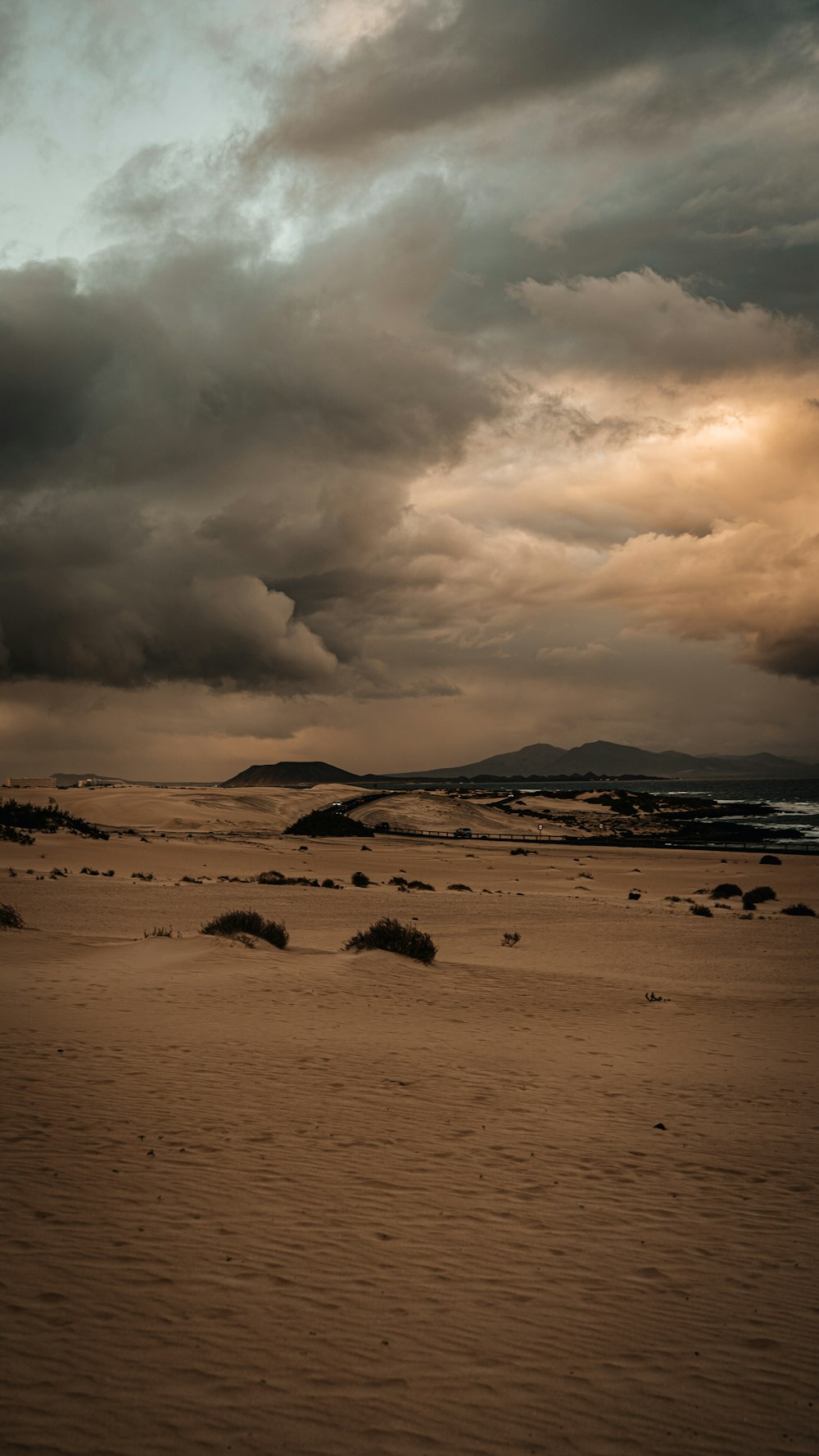 a lone horse standing in the middle of a desert