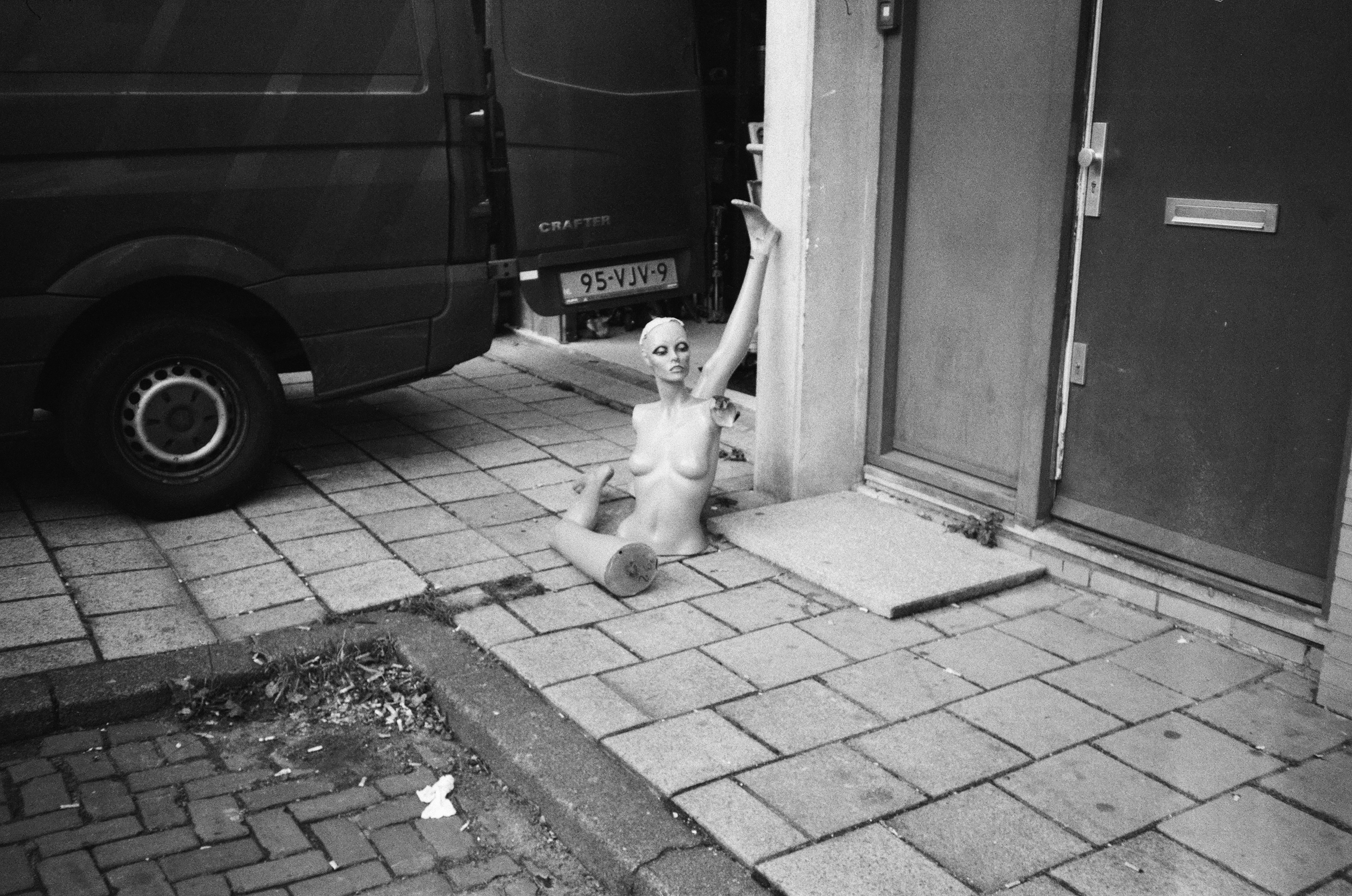 Why Dogs Slip and Slide: Core Weakness vs. Environmental Factors