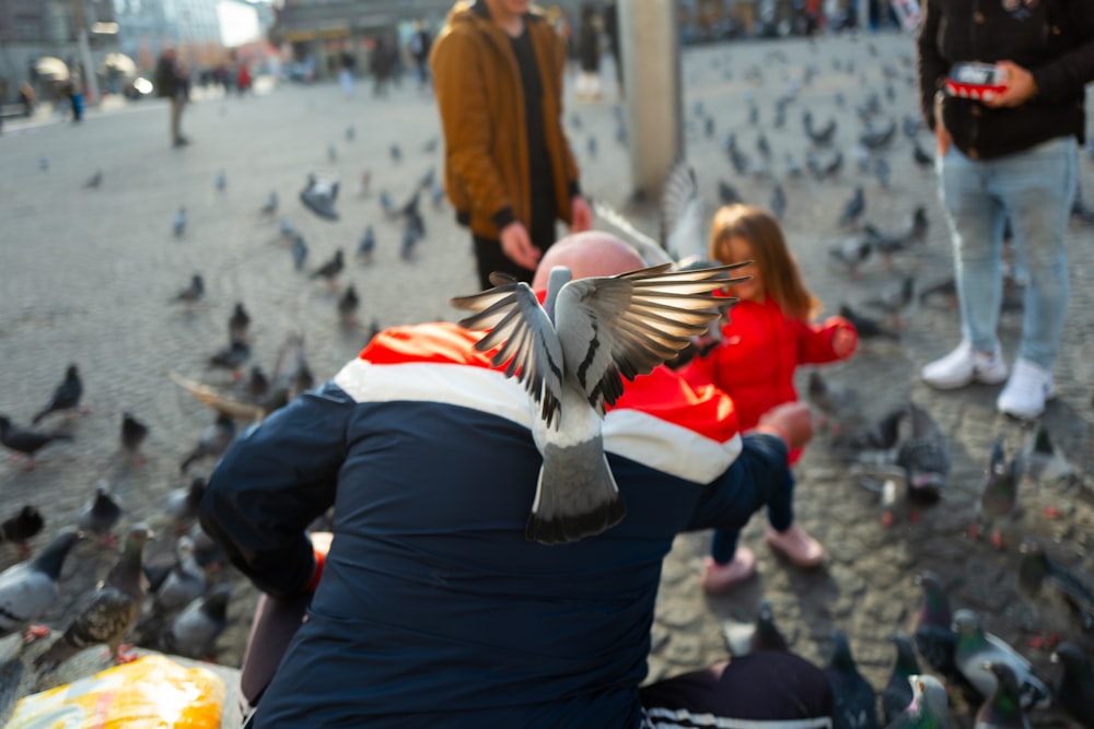 a group of people feeding pigeons on the street