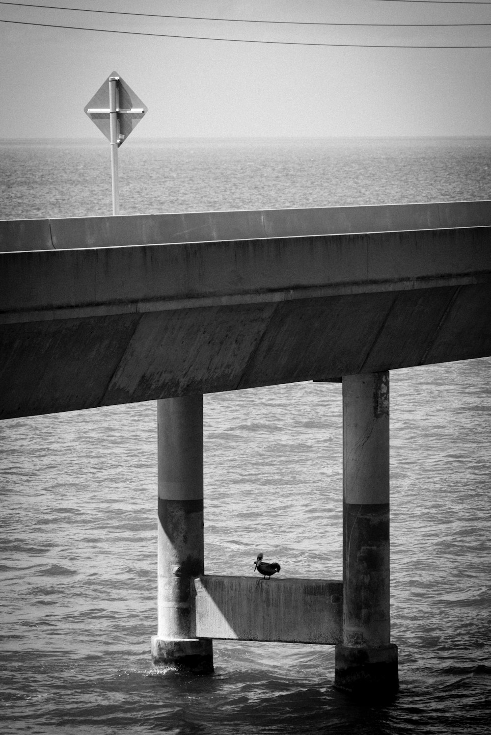 Una foto in bianco e nero di un ponte sull'acqua