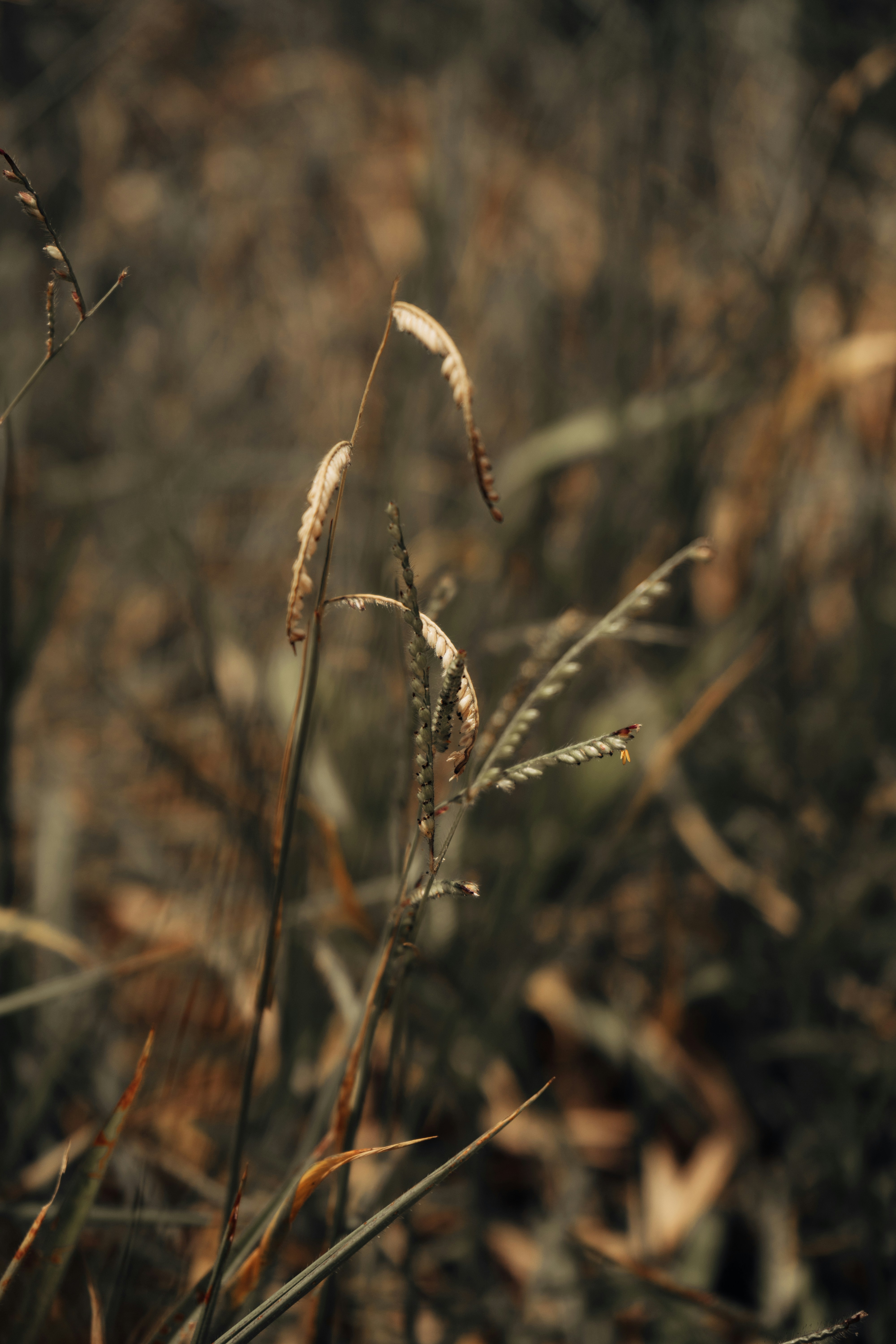 Photo by jefersonsantu