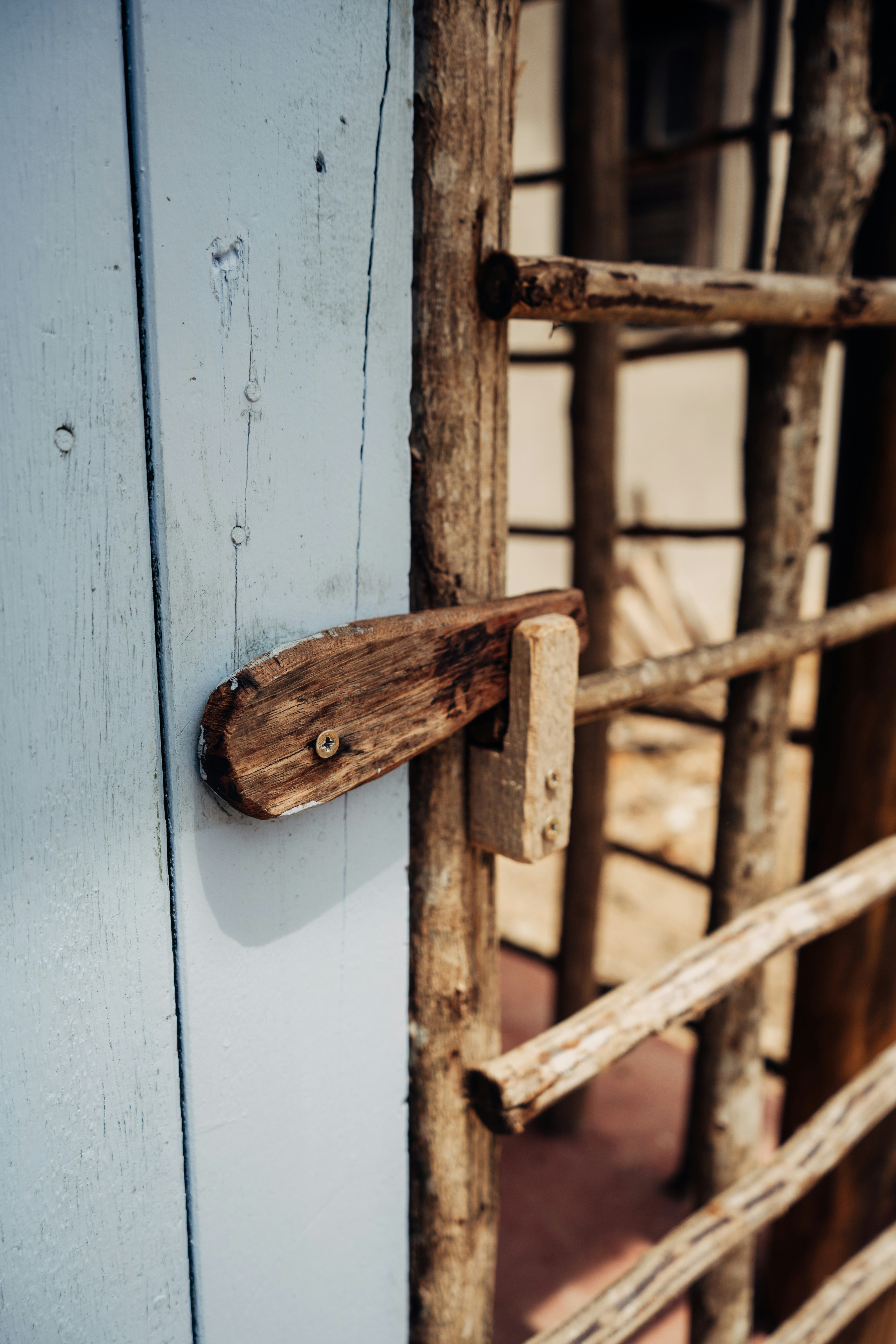 Photo by jefersonsantu