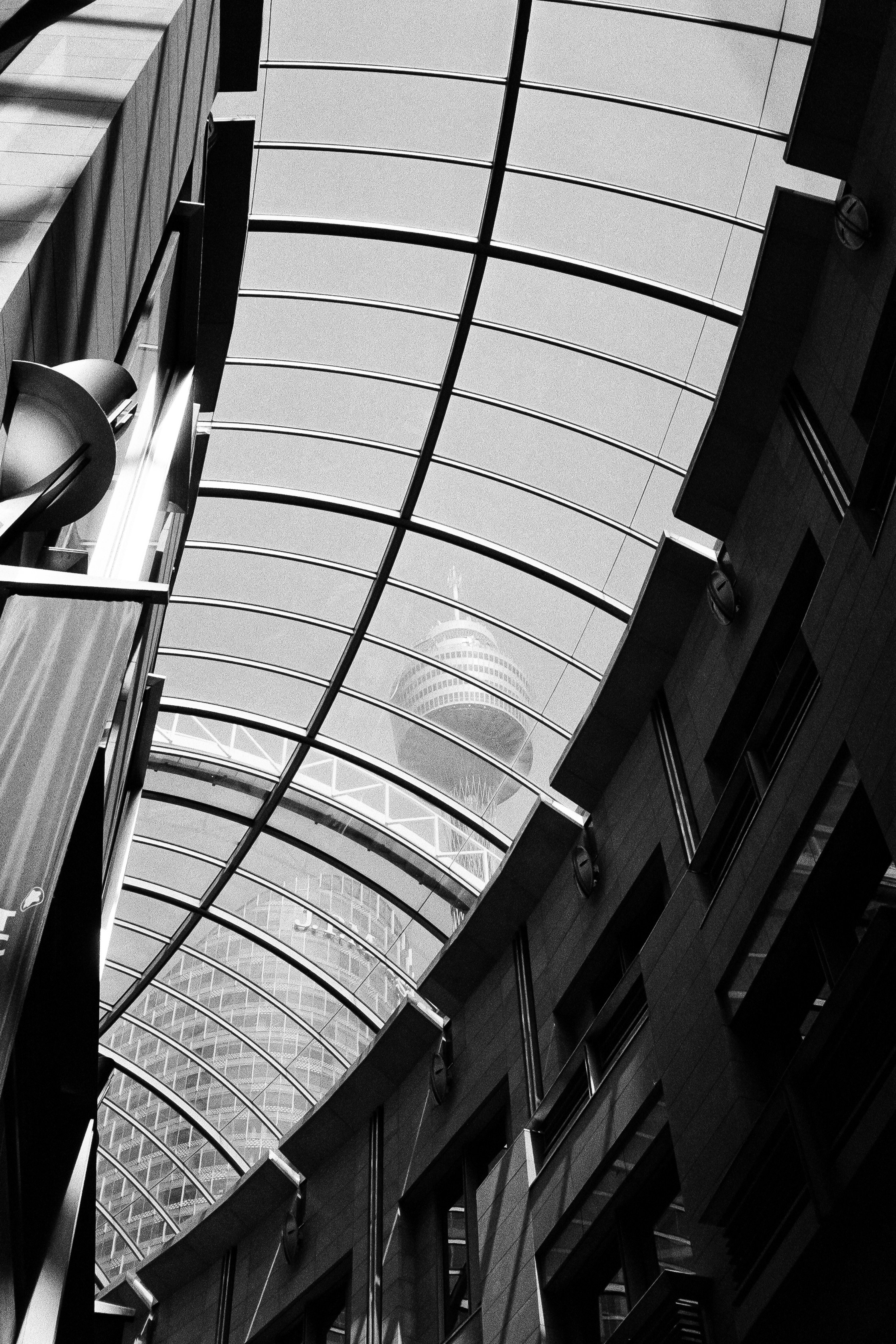 Photo by saxon_white