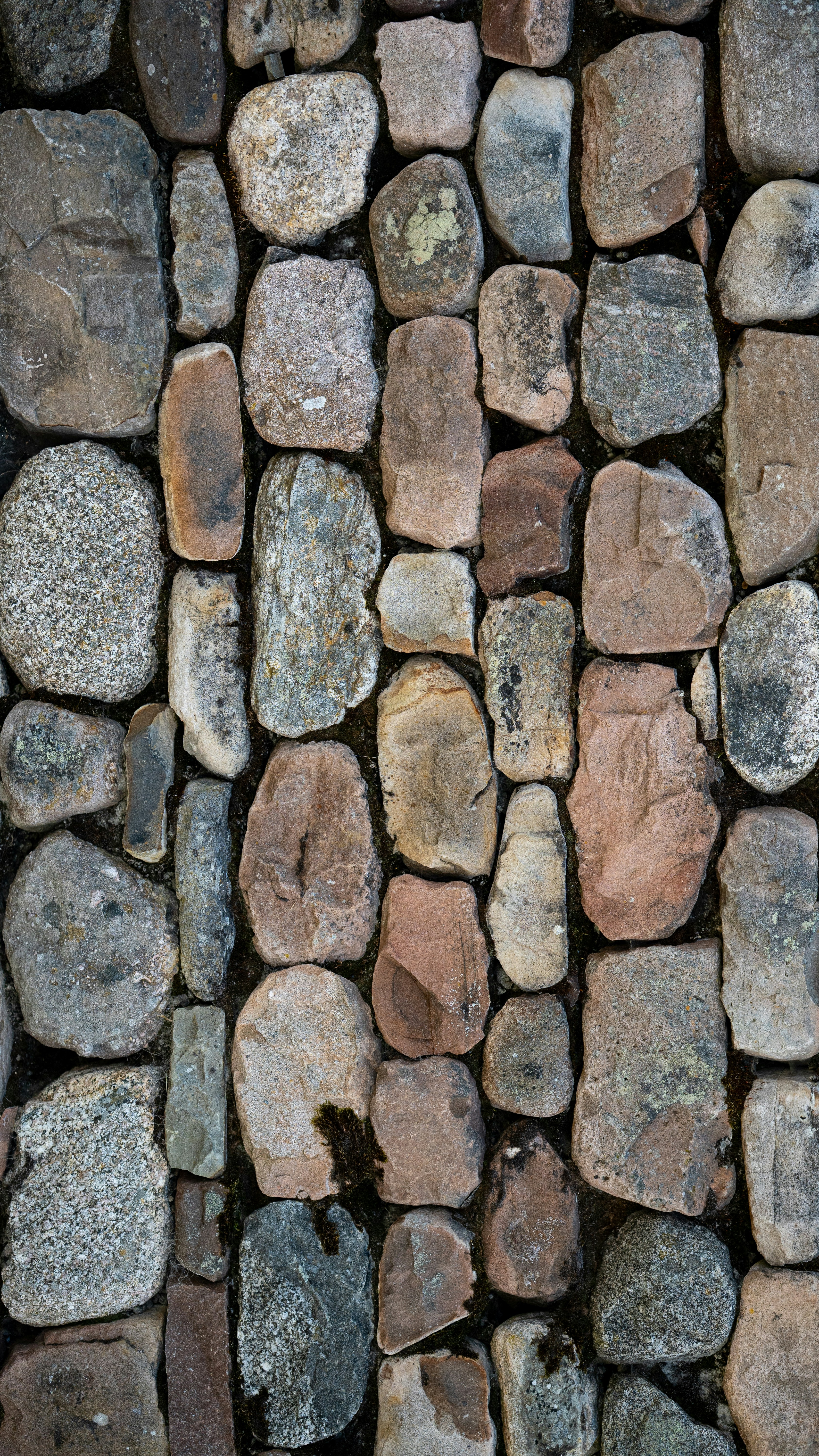 Photo by just_anotha_photographer