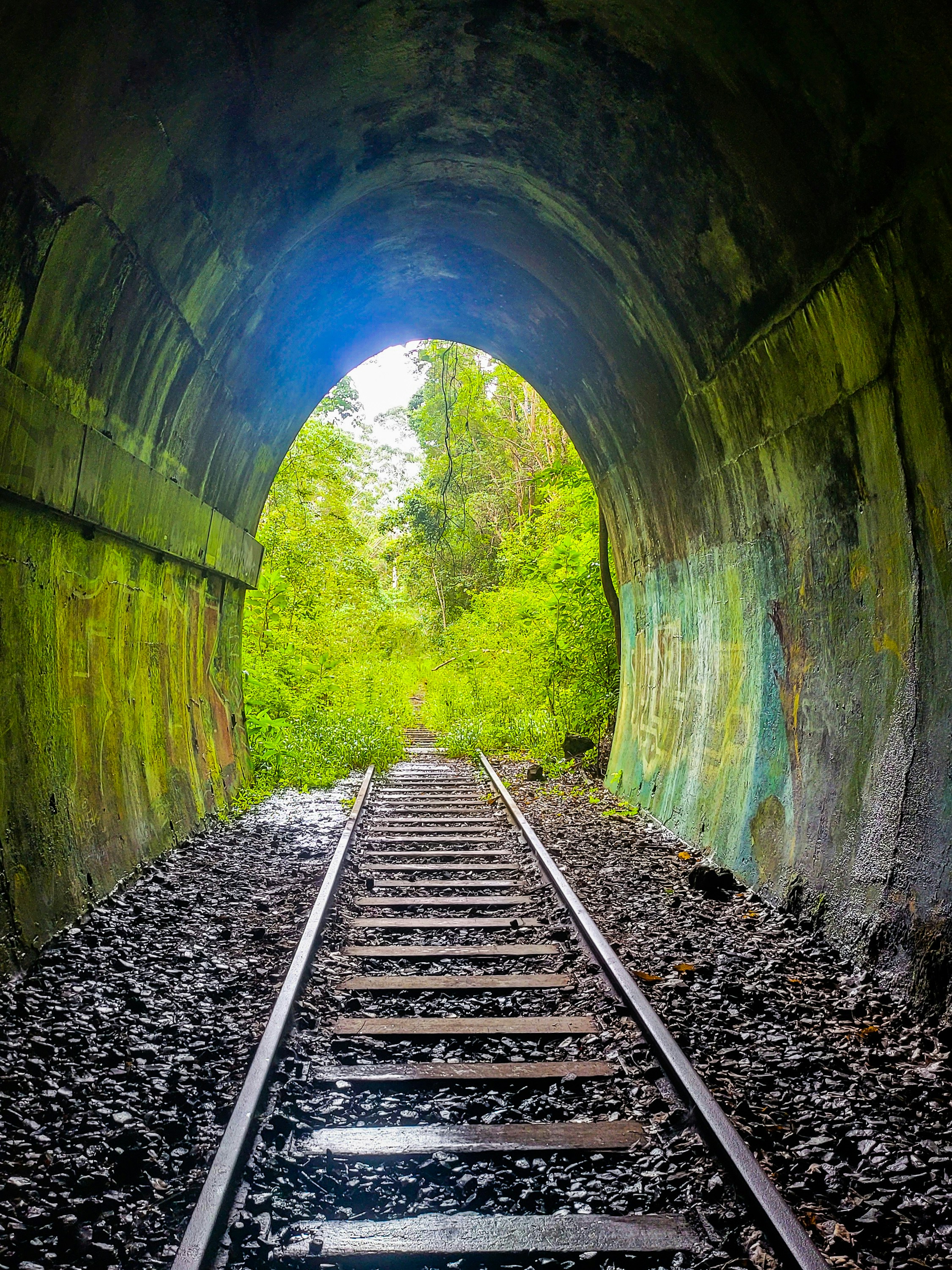 a train track going through a tunnel with trees in the background