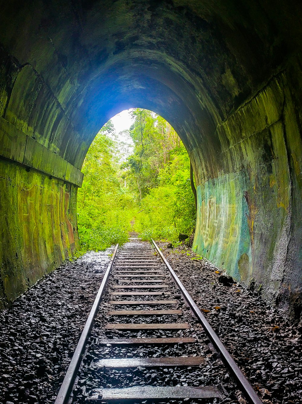 a train track going through a tunnel with trees in the background