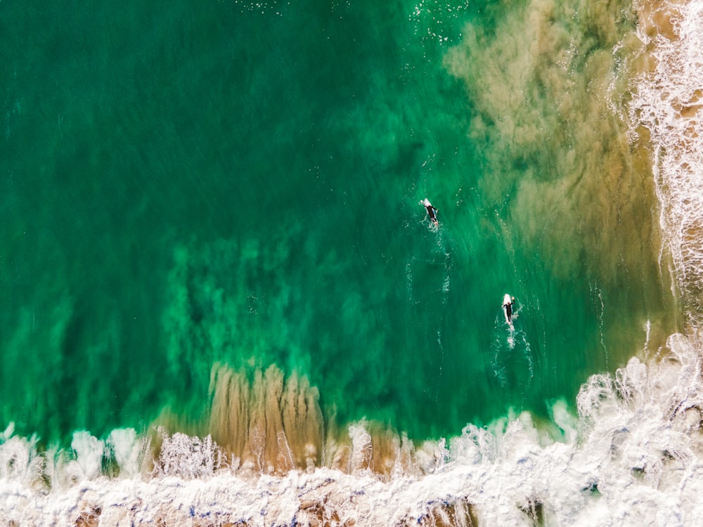 an aerial view of two surfers in the ocean