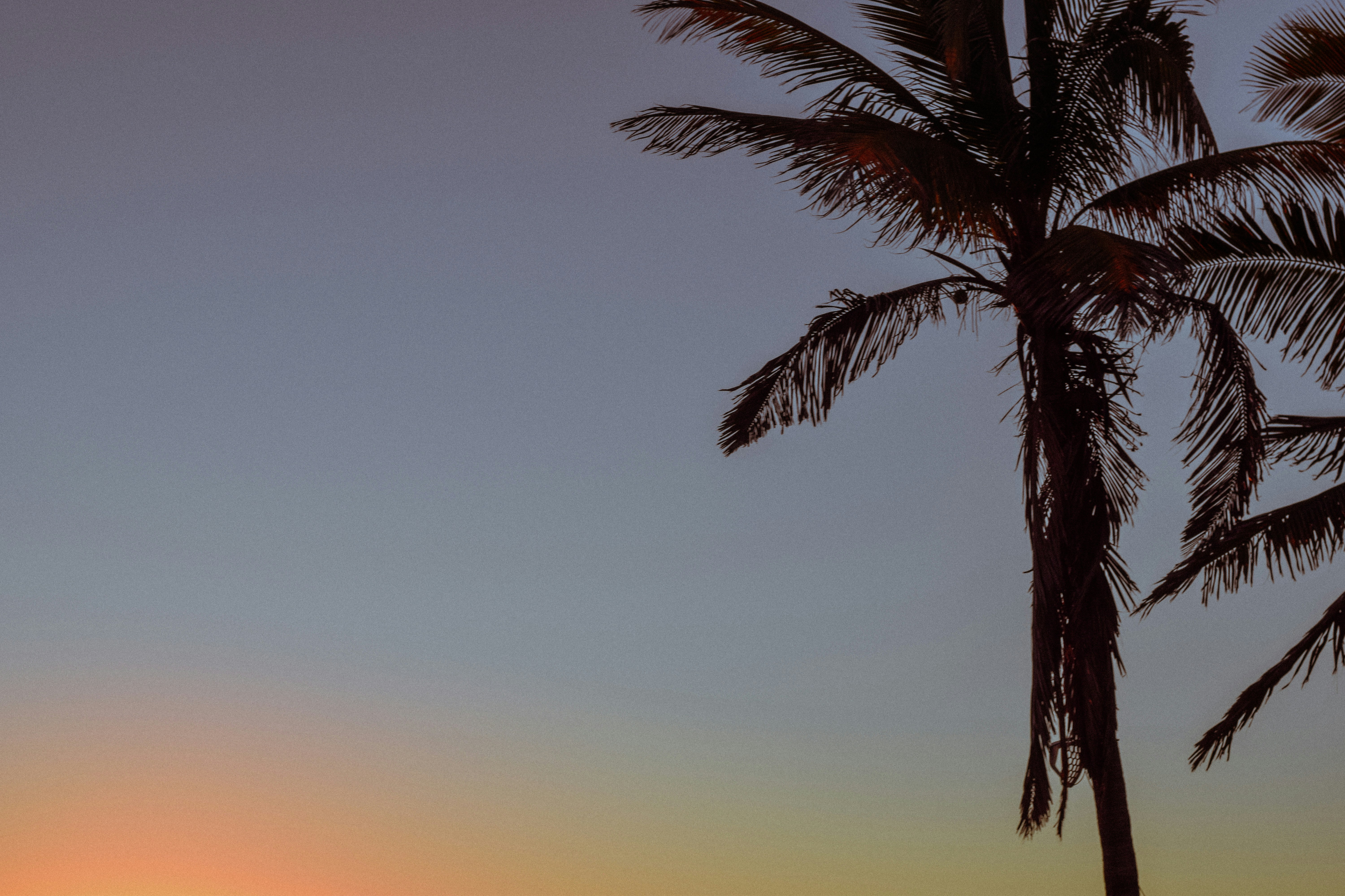 Photo by andreabrambilaa