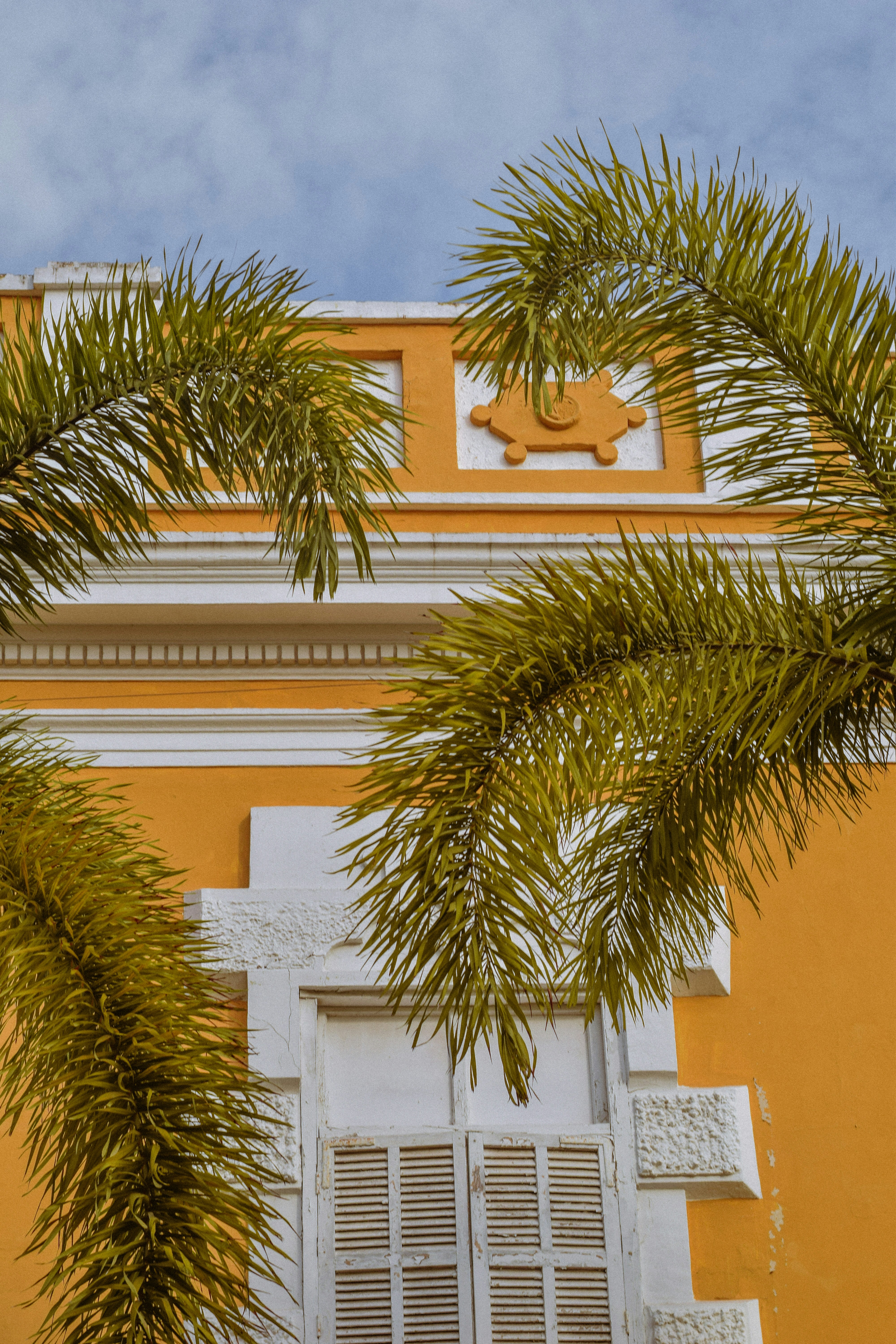 Photo by andreabrambilaa