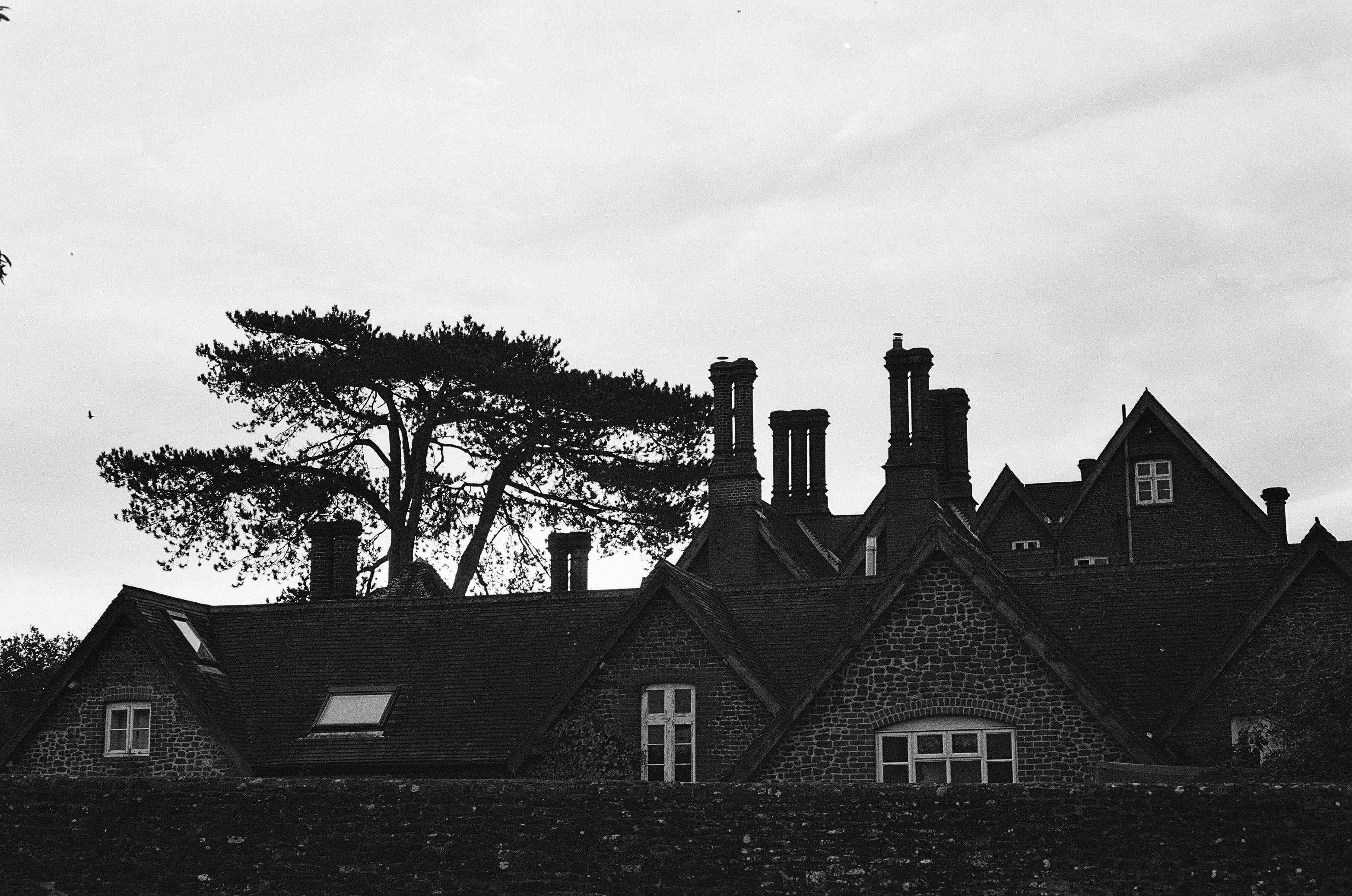 Photo by hannahcsmithcurio