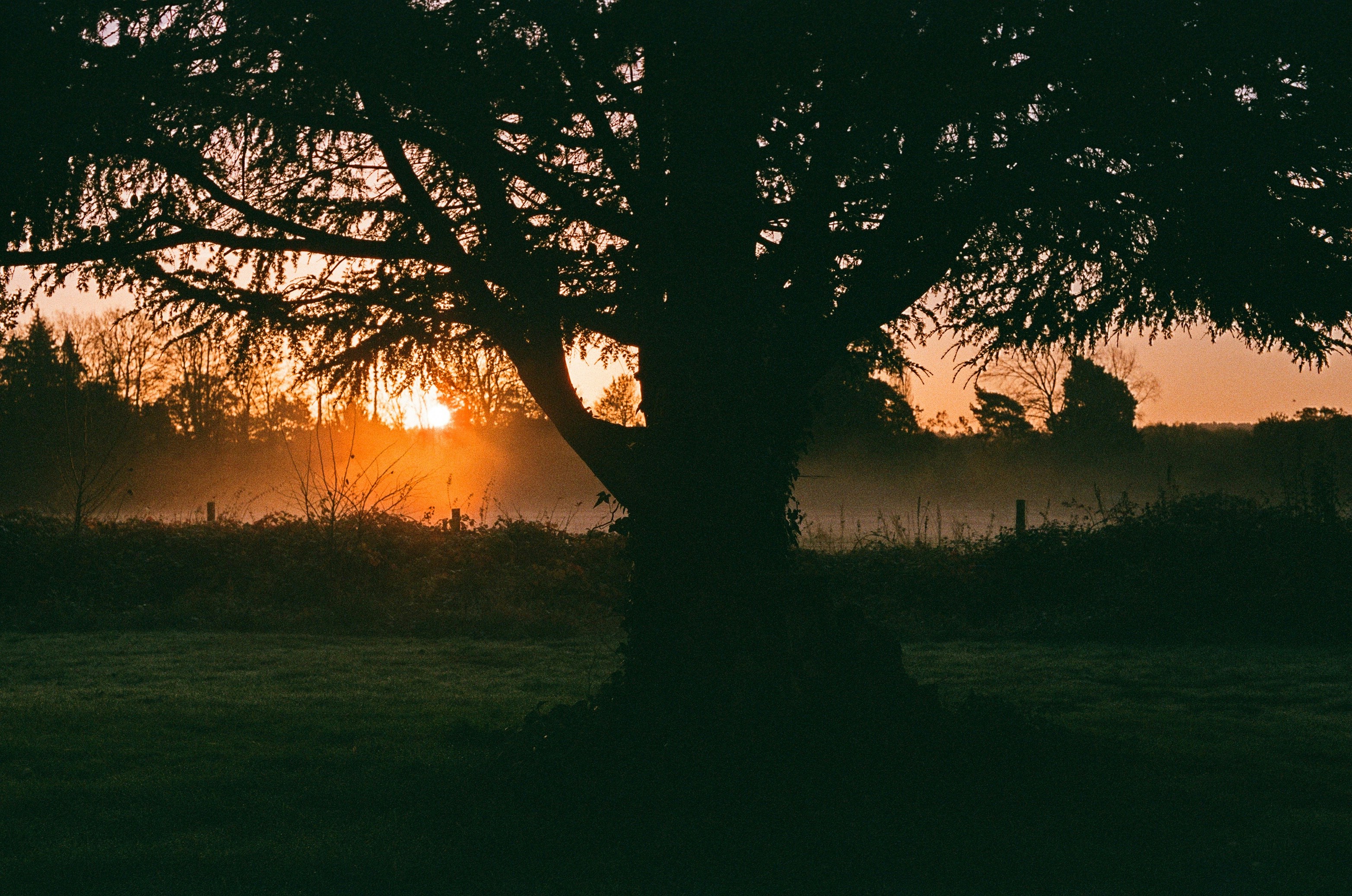 Photo by hannahcsmithcurio