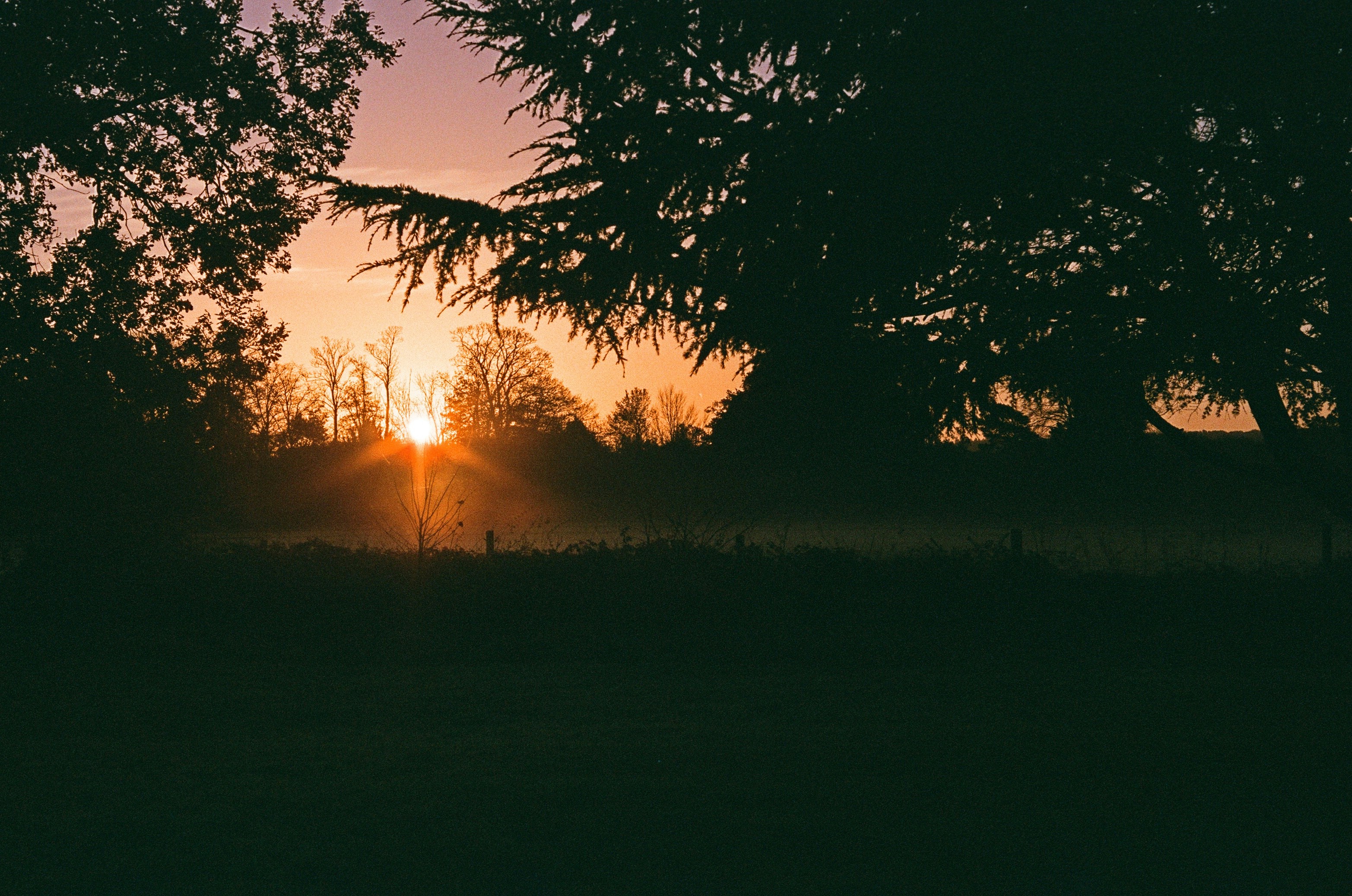 Photo by hannahcsmithcurio