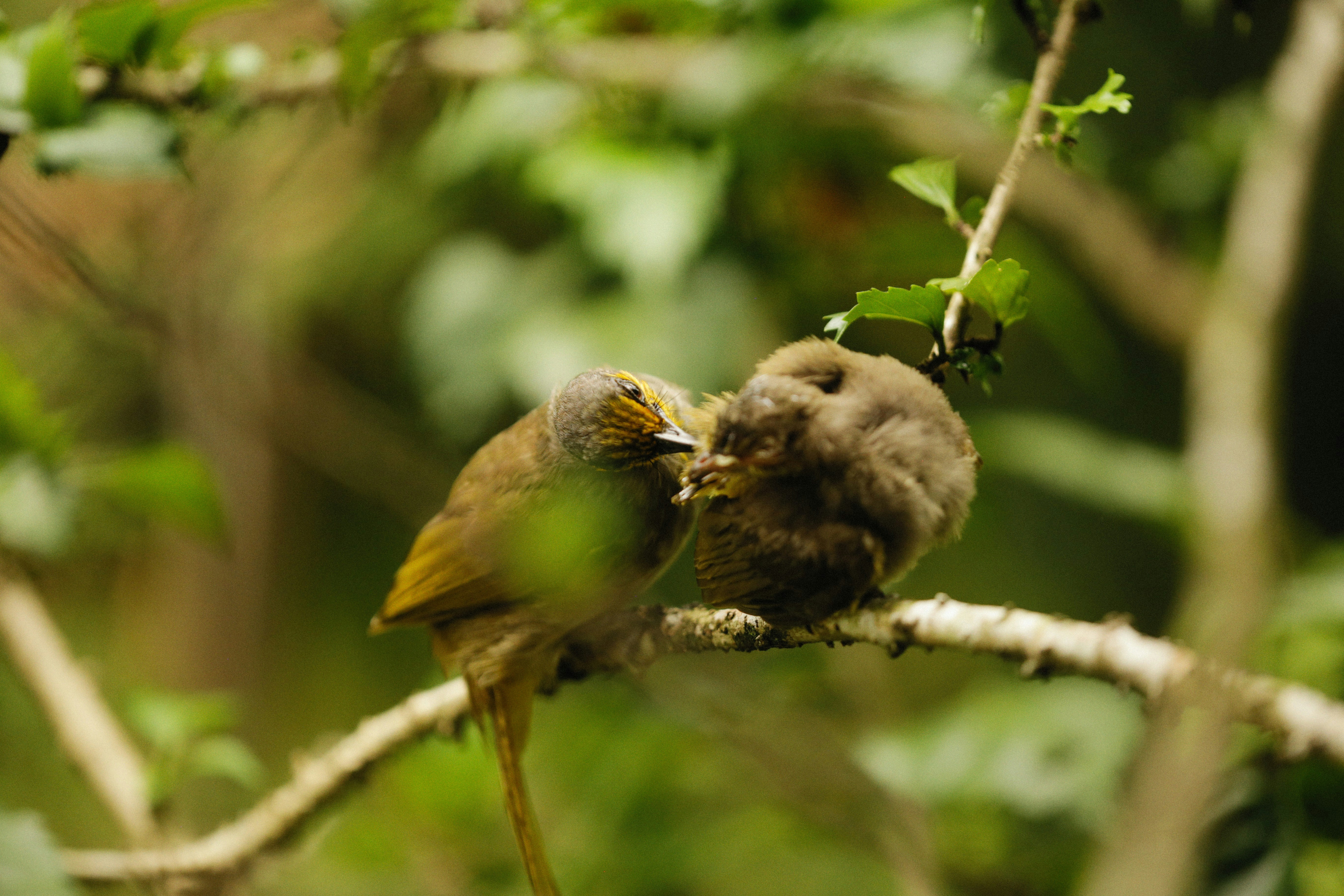 Photo by alexeydemidov