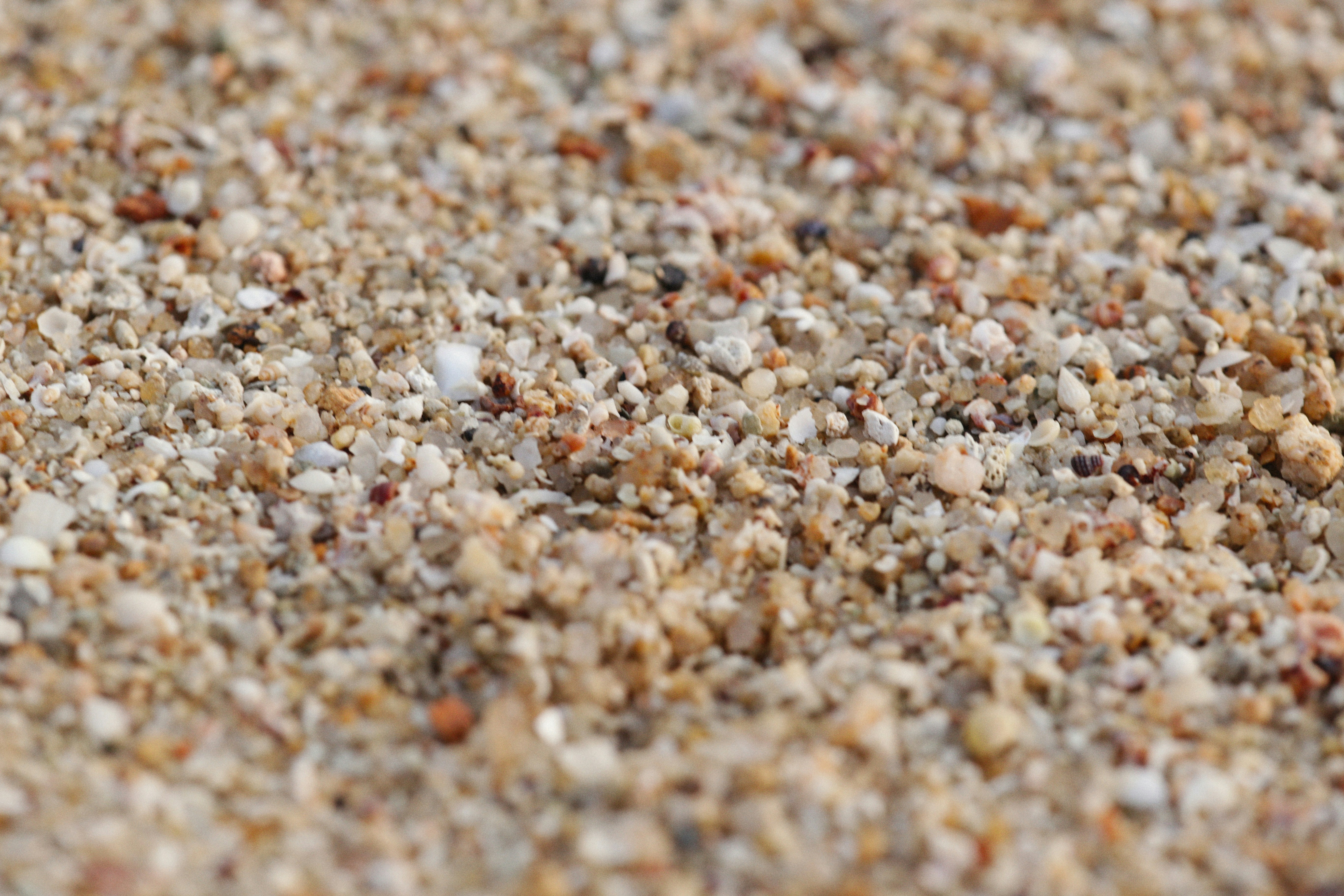 Photo by alexeydemidov