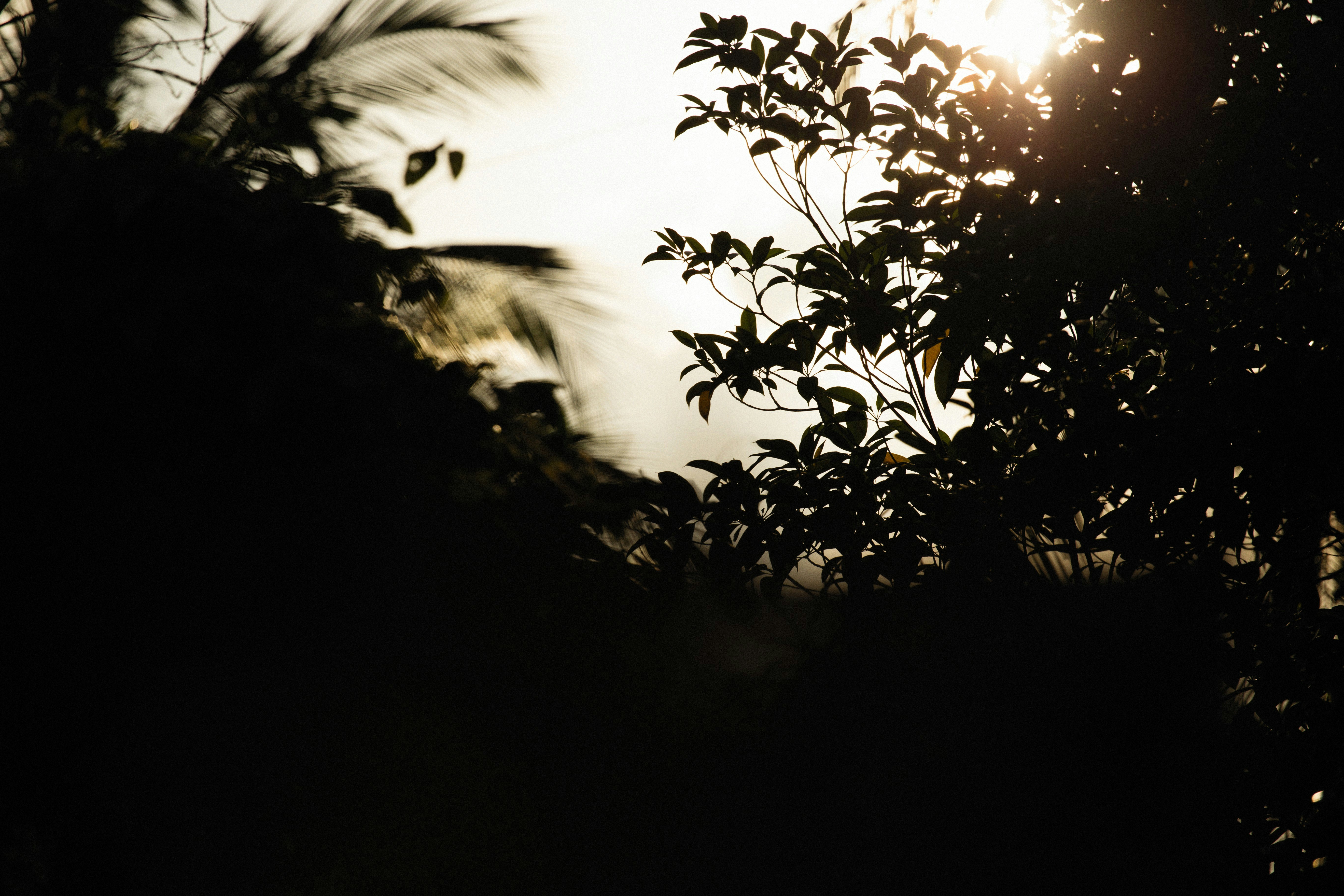 Photo by alexeydemidov