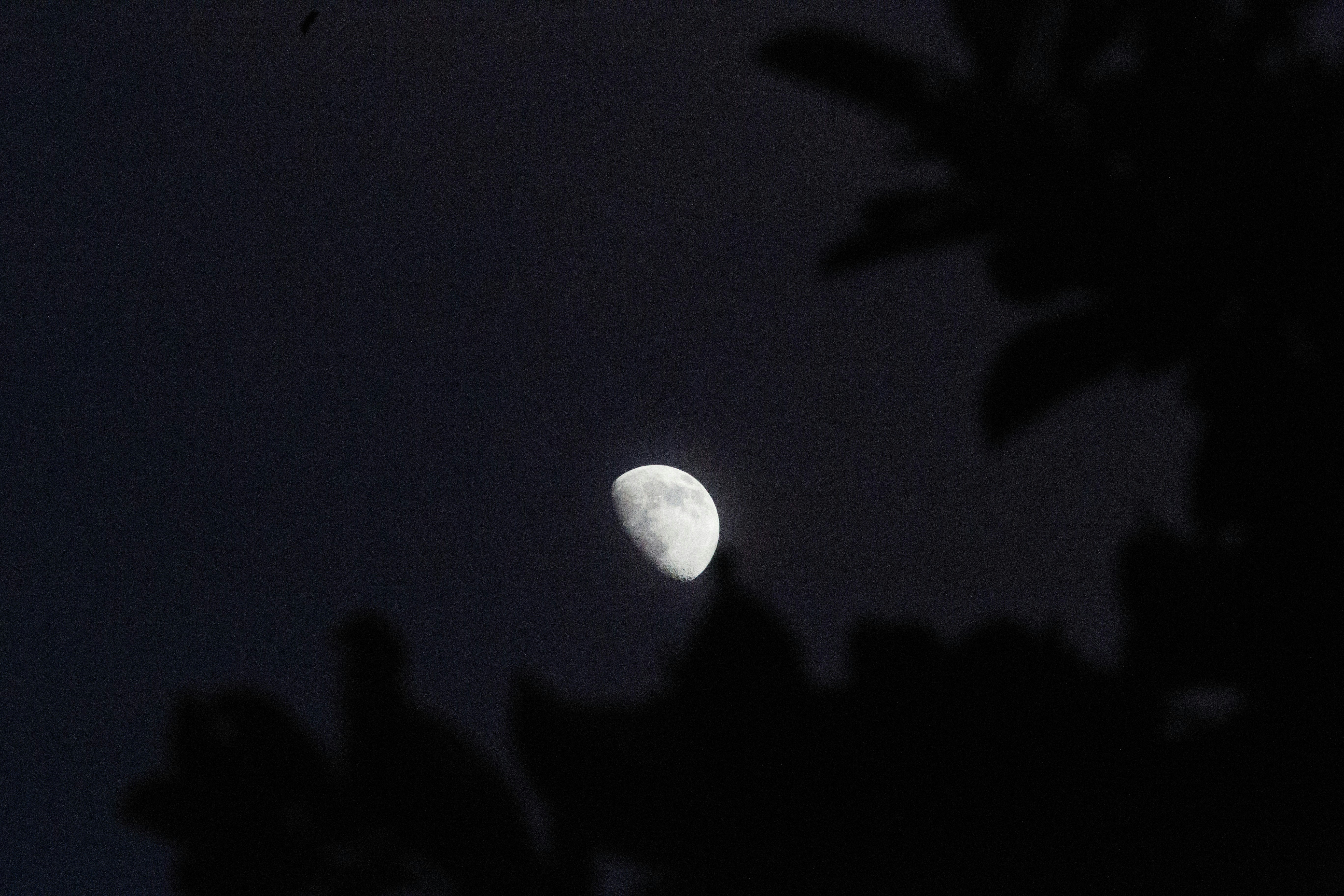 Photo by alexeydemidov