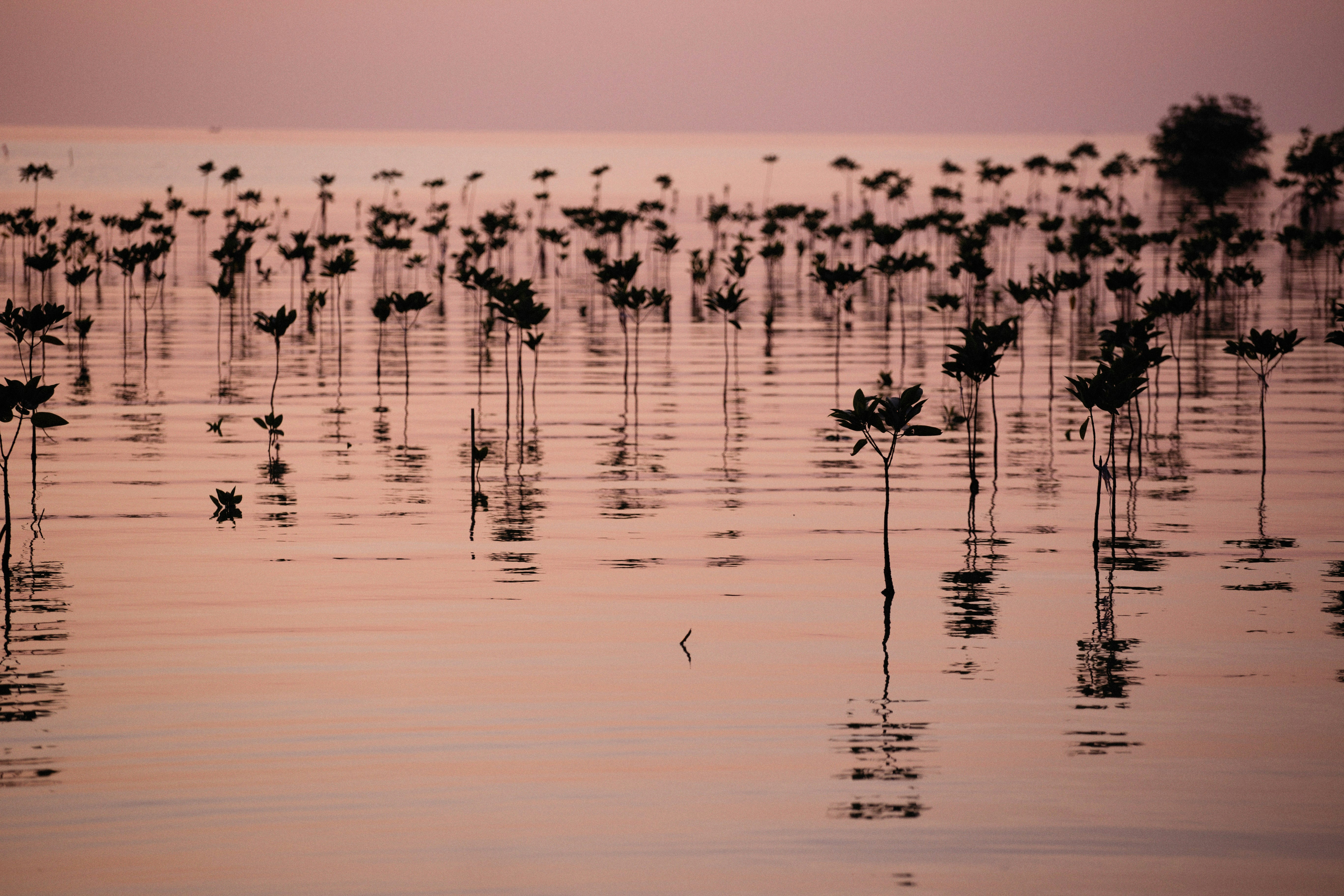 Photo by alexeydemidov