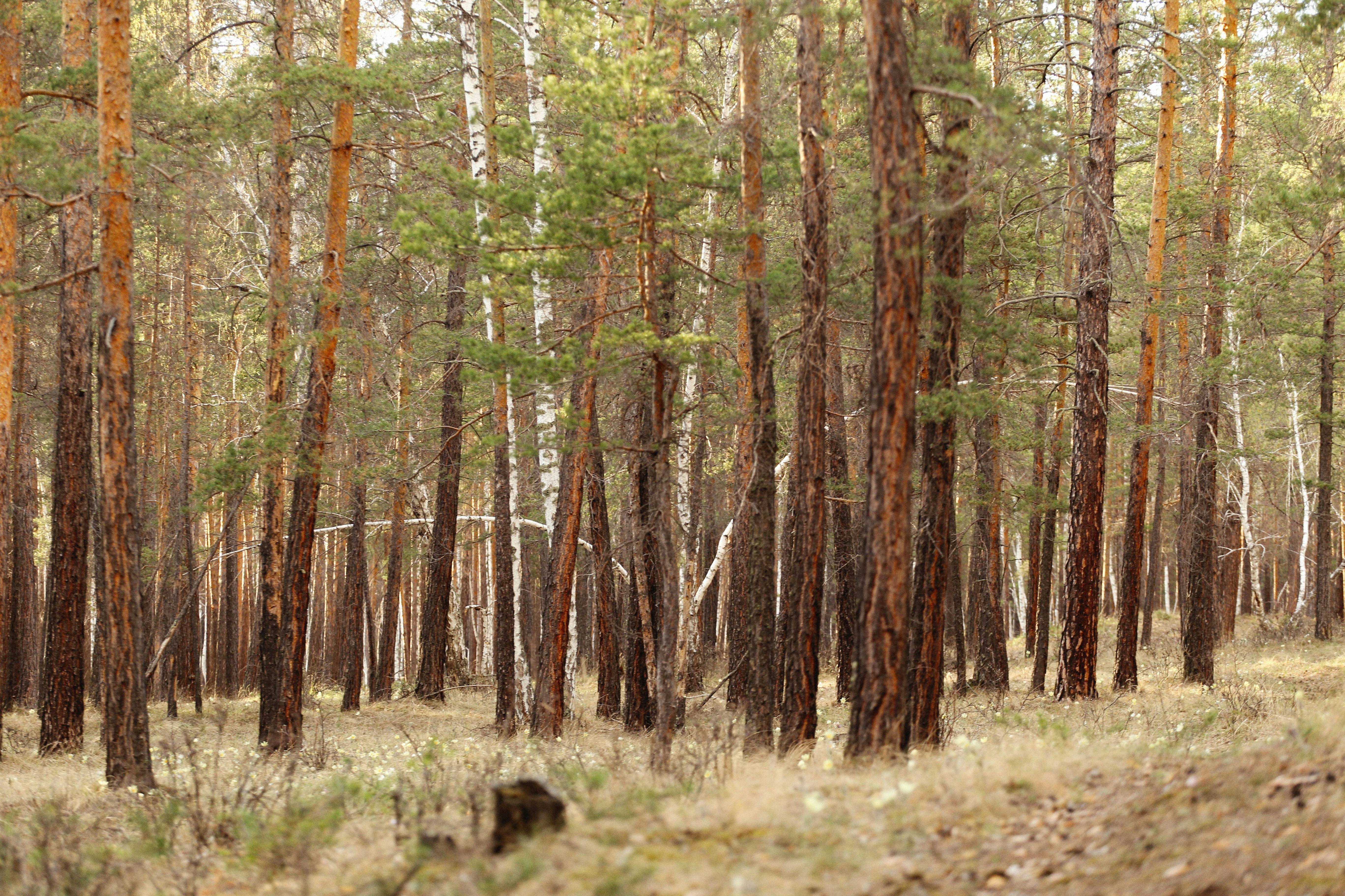 Photo by alexeydemidov