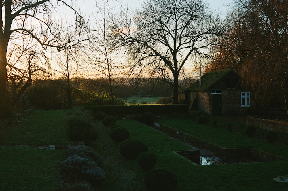 the sun is setting in the distance over a garden