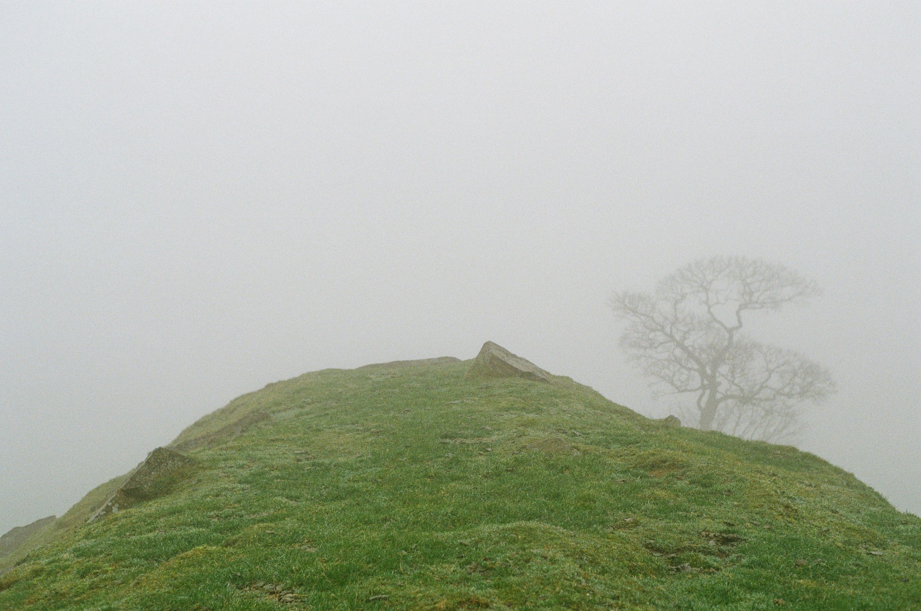 Photo by hannahcsmithcurio