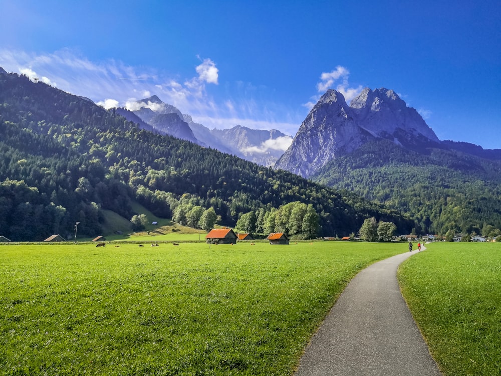 a path leading to a grassy field with mountains in the background