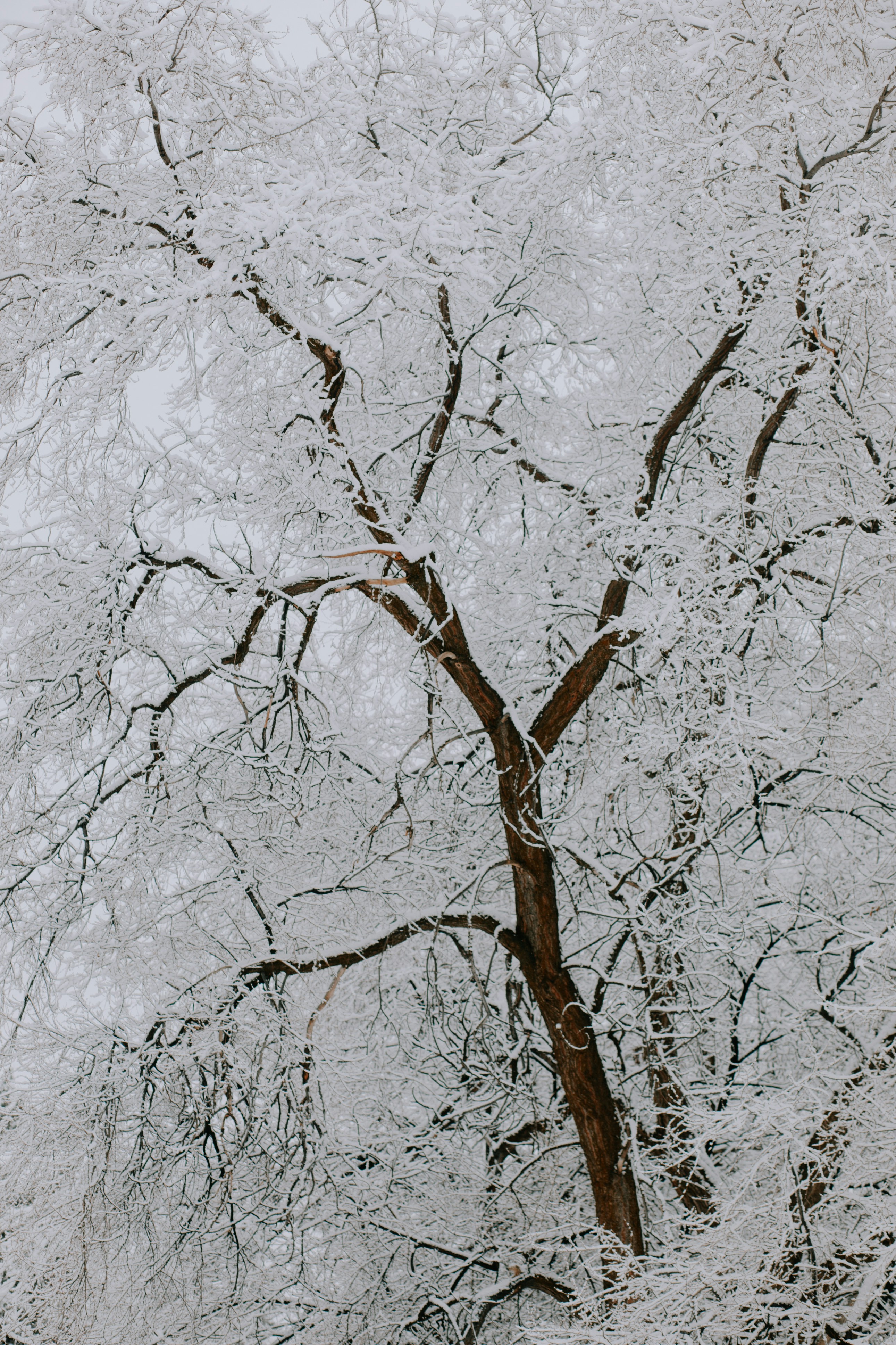 Photo by marsupialpudding