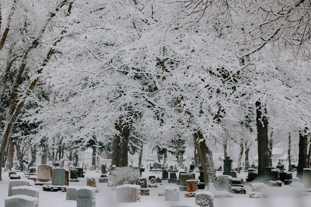 a snow covered cemetery with a lot of tombstones