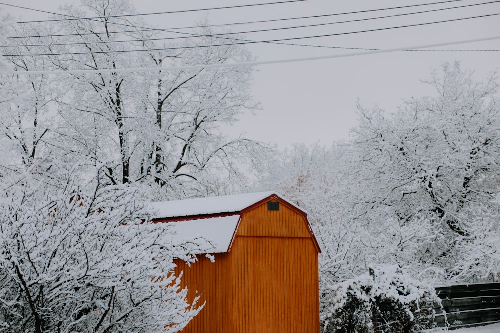 a red barn in the snow with trees in the background